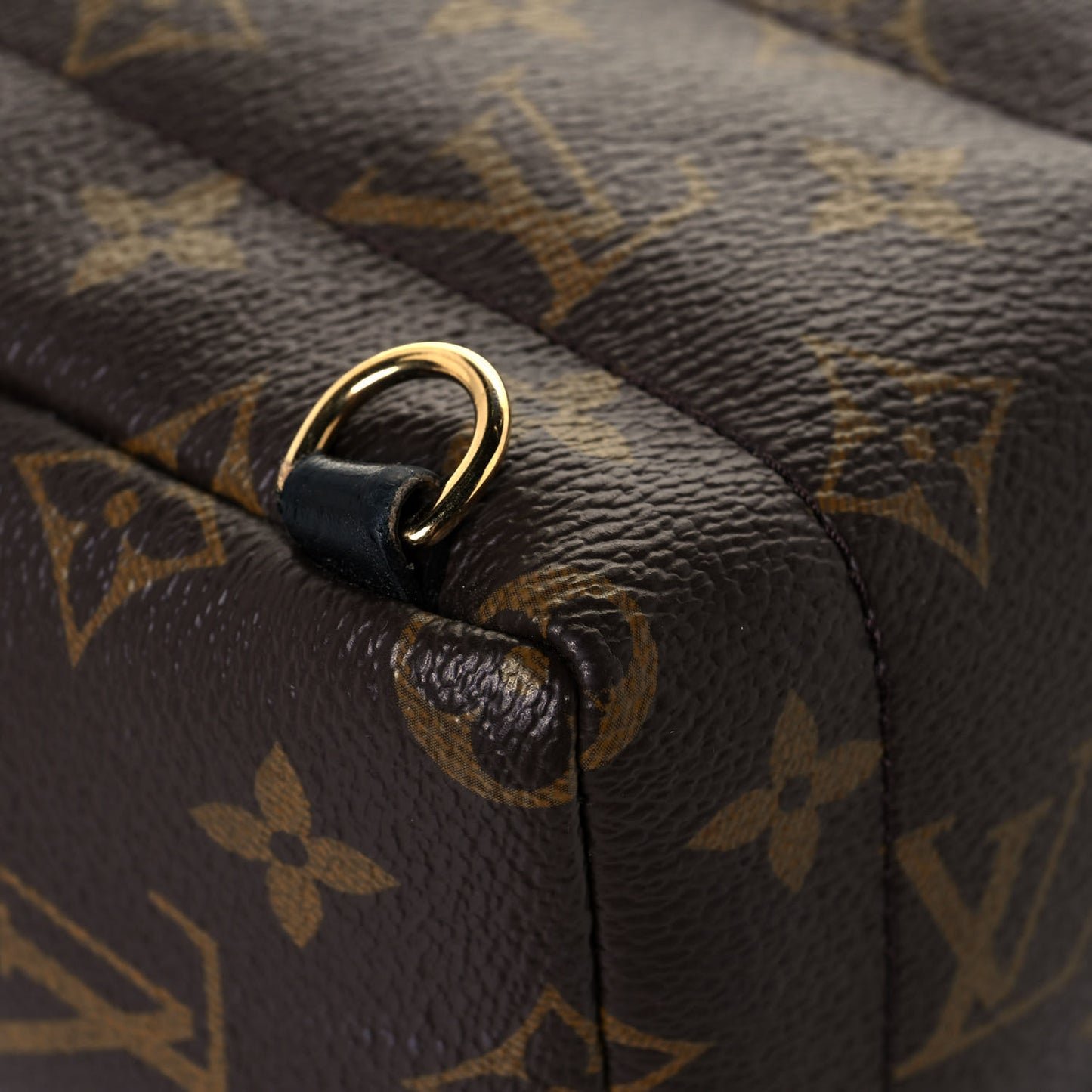 Monogram Palm Springs Backpack Mini