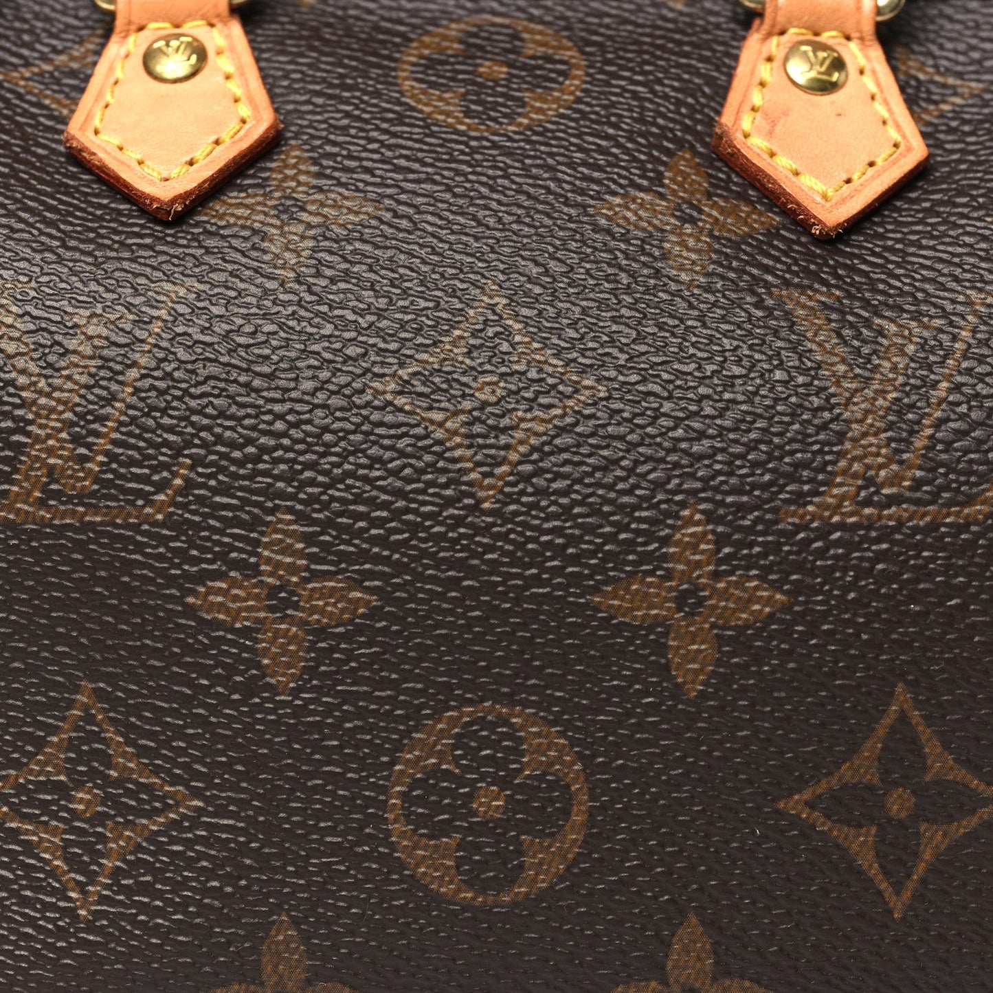Monogram Nano Speedy