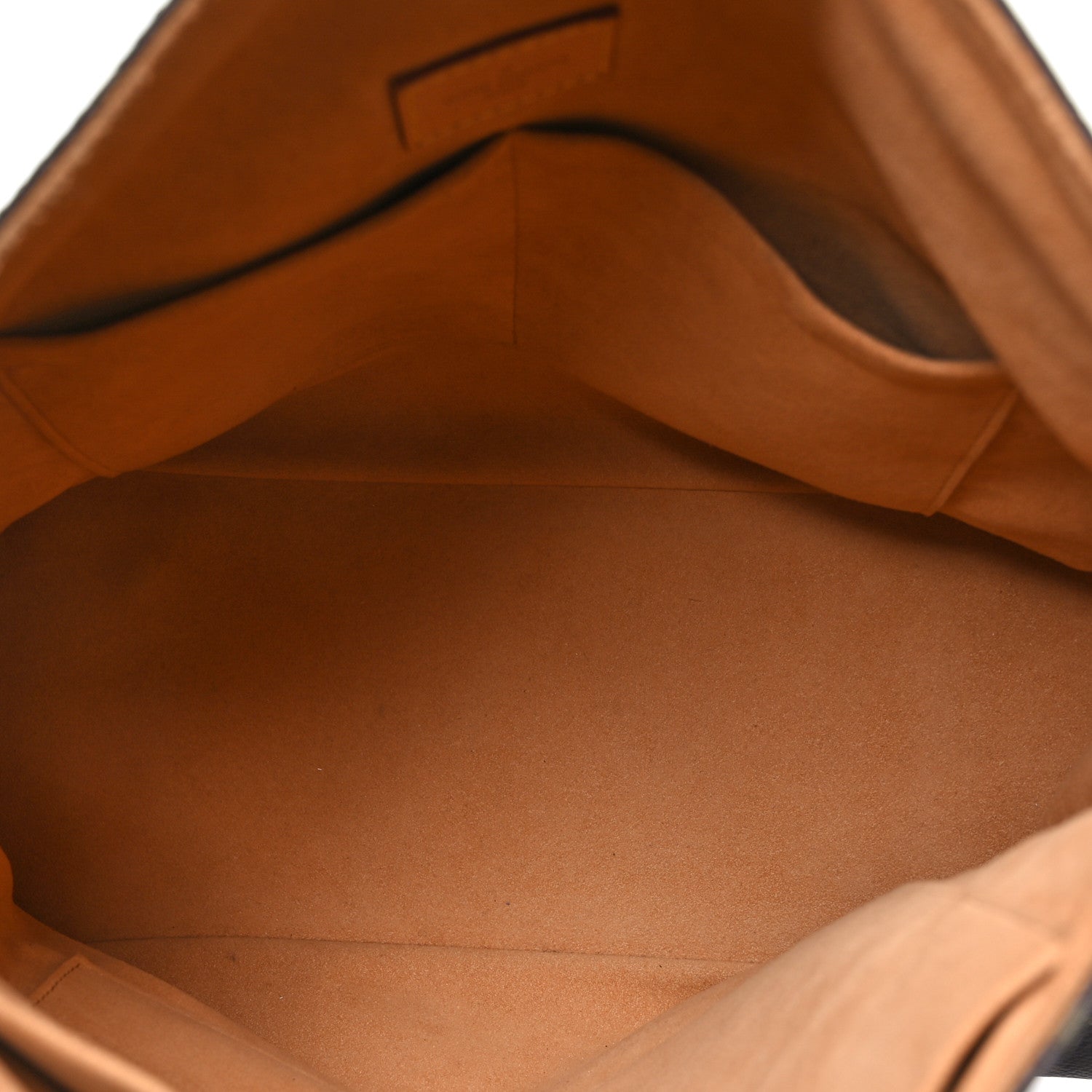 Louis Vuitton Monogram Gaia Epice 5 of 11