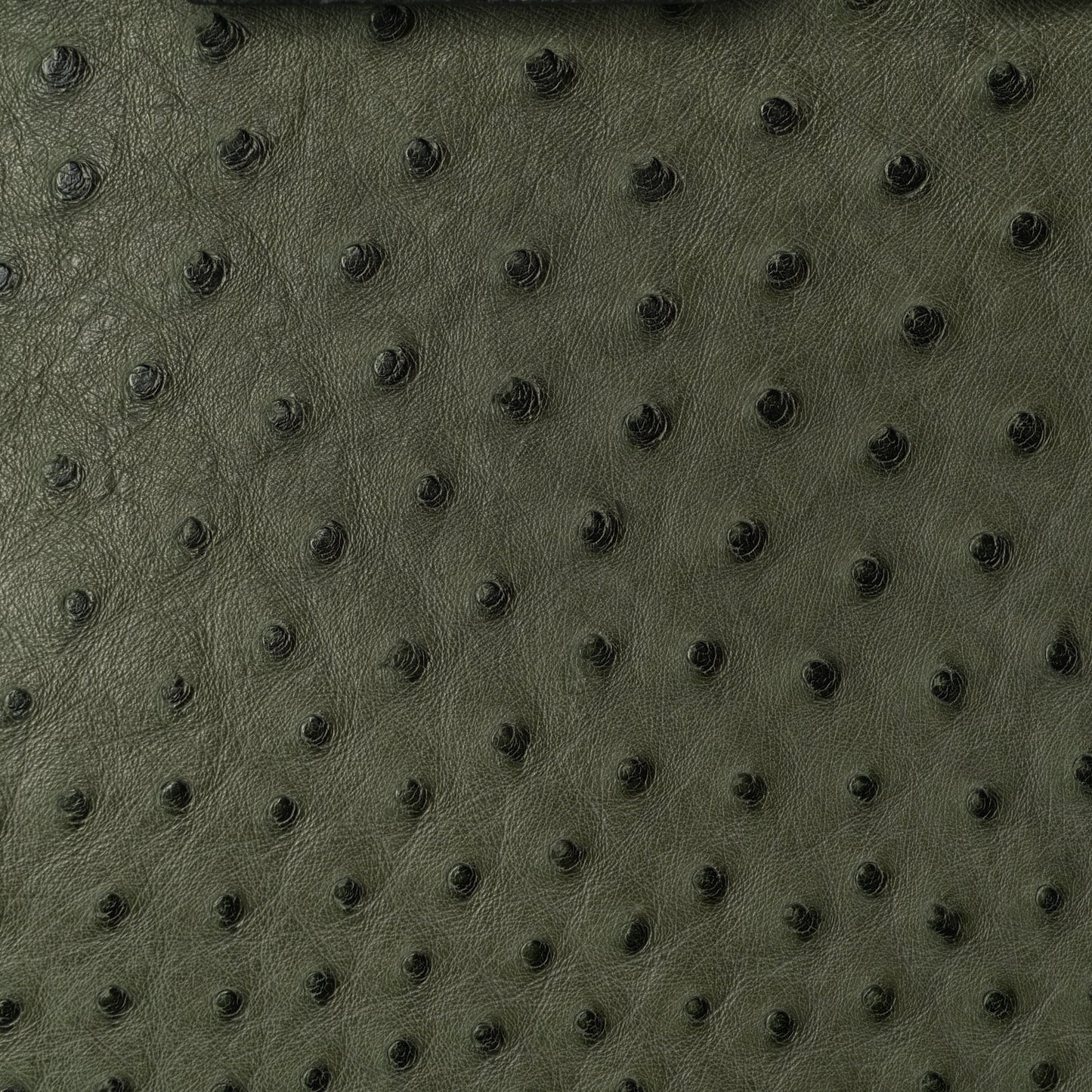 Ostrich Birkin 35 Vert Olive