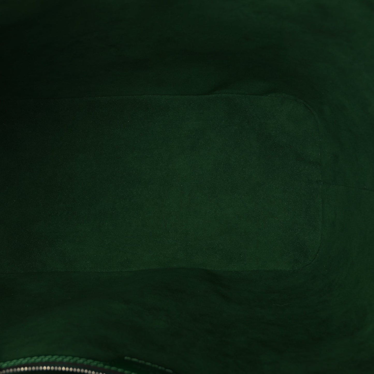 Epi Neverfull MM Borneo Green