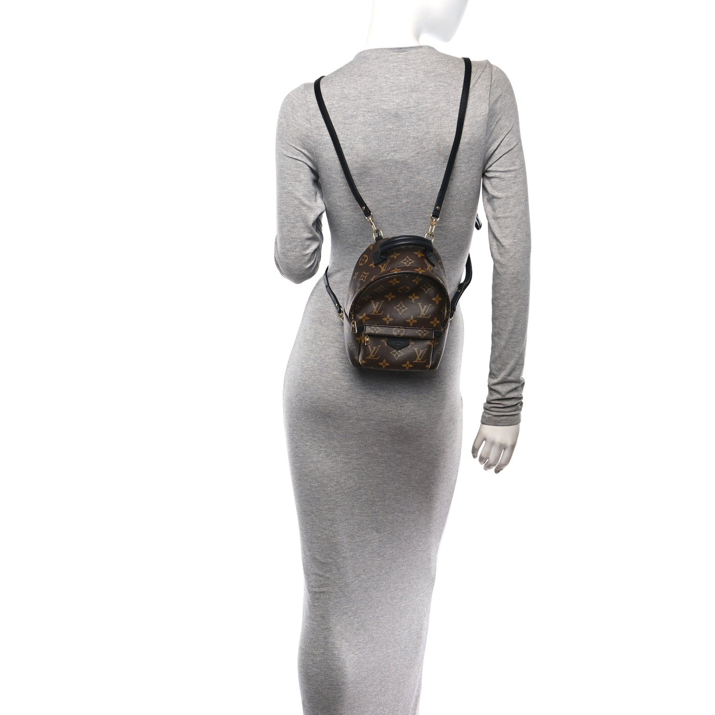 Monogram Palm Springs Backpack Mini