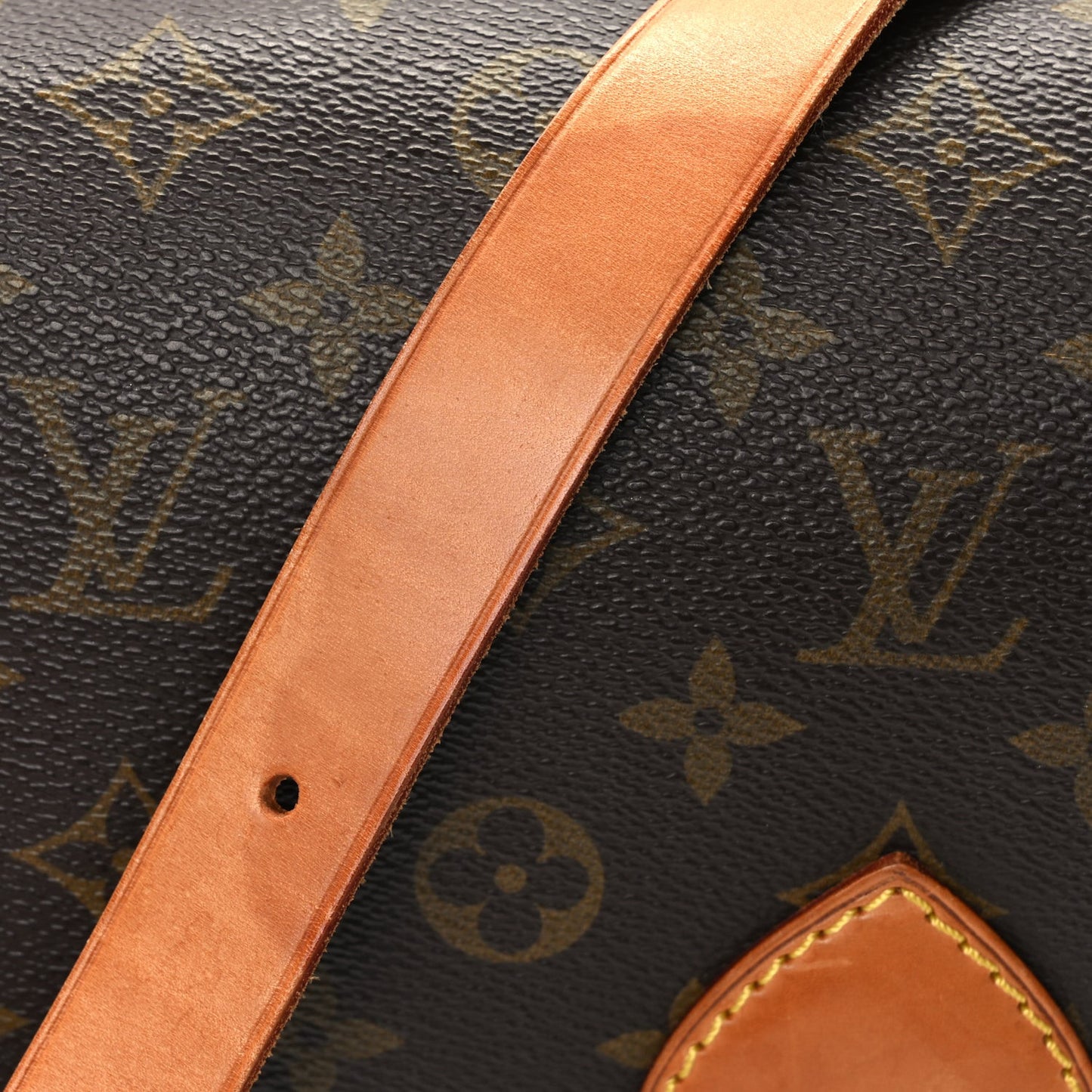 Monogram Cartouchiere 22 Monogram