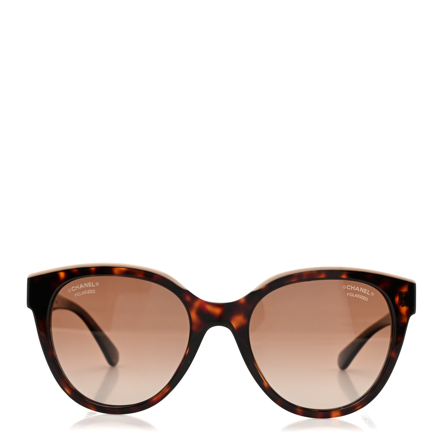 Acetate Polarized CC Butterfly Sunglasses 5414 Tortoise