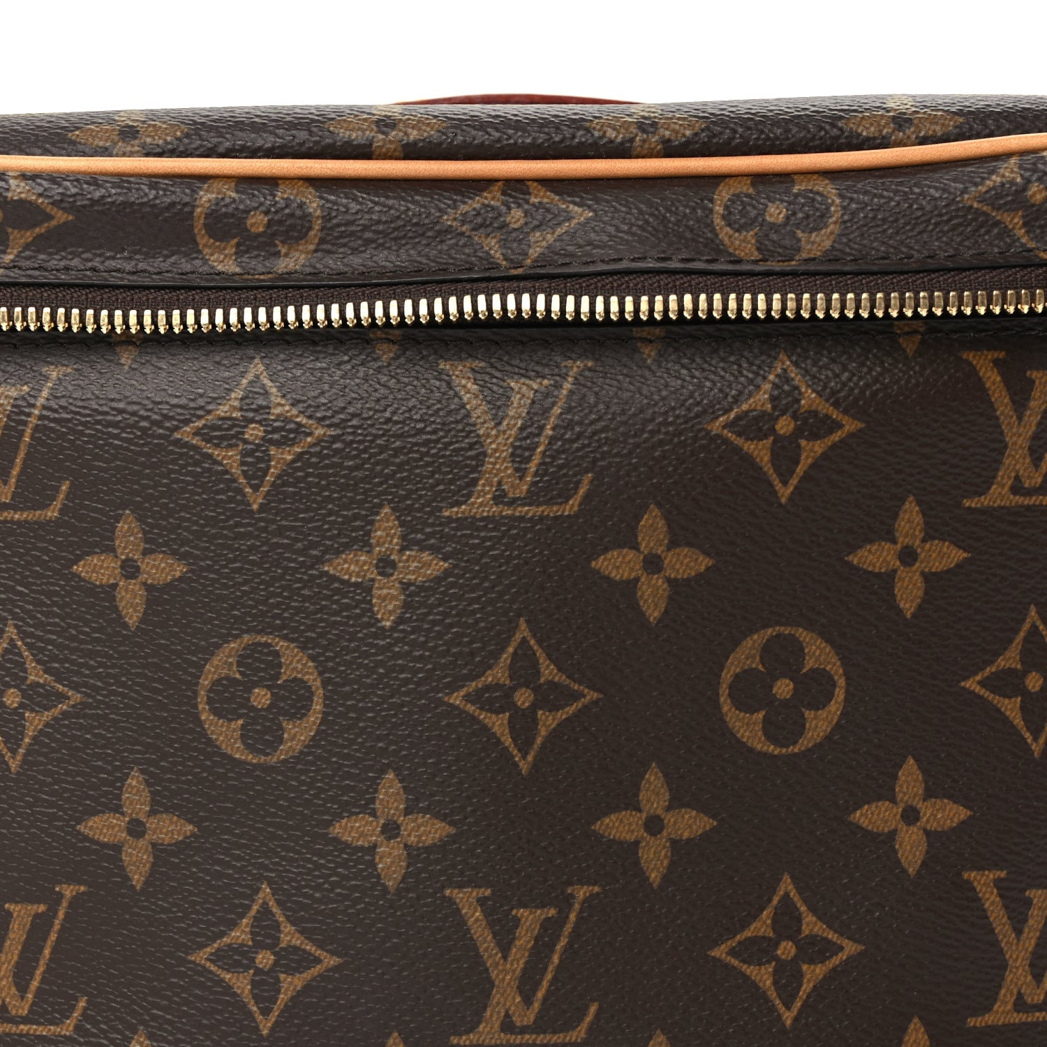 Louis Vuitton Monogram Nice BB 7 of 9