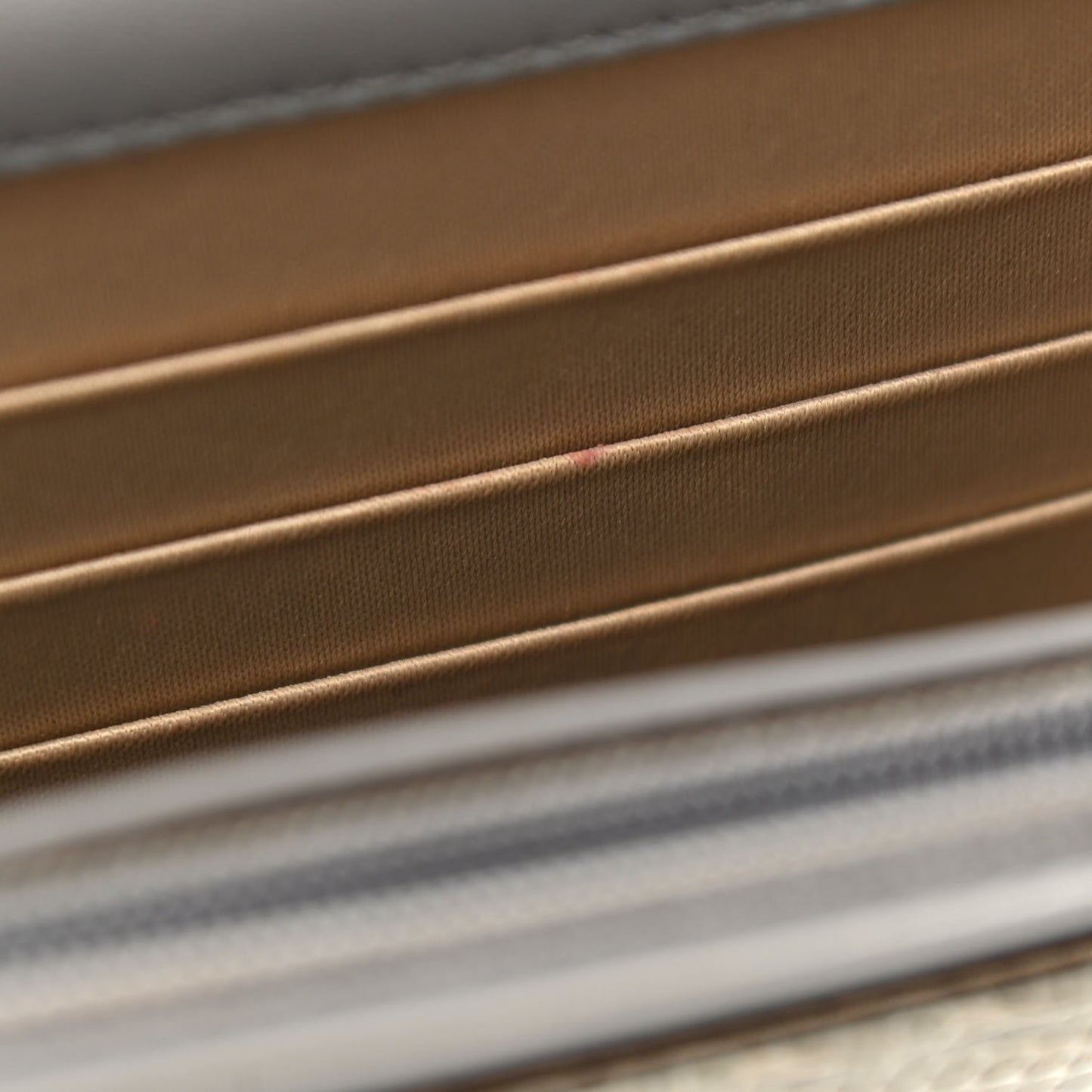 Lizard Golden Class Wallet on Chain WOC Grey