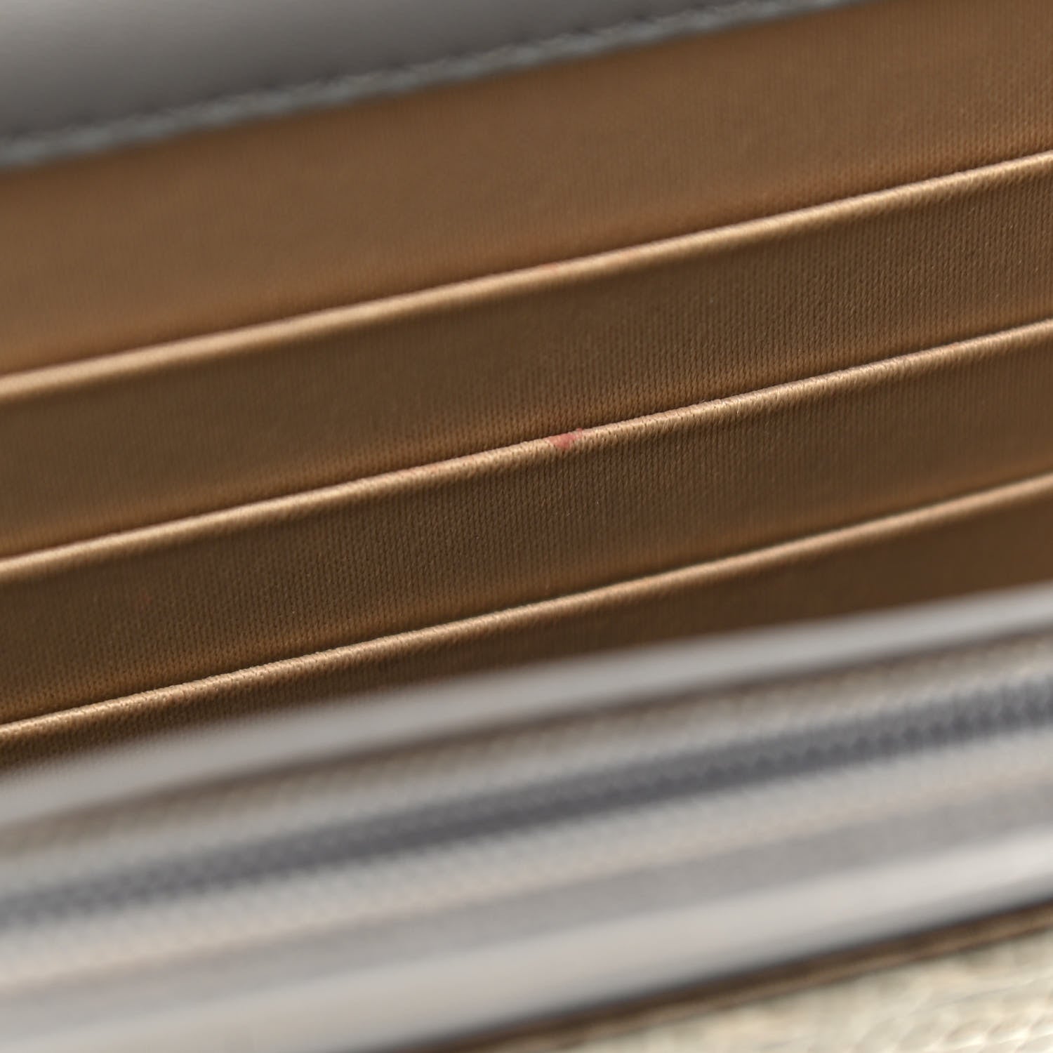 Chanel Lizard Golden Class Wallet on Chain WOC Grey 8 of 12