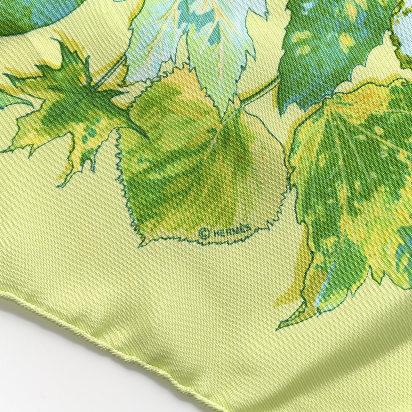 Silk Tourbillons Scarf 45