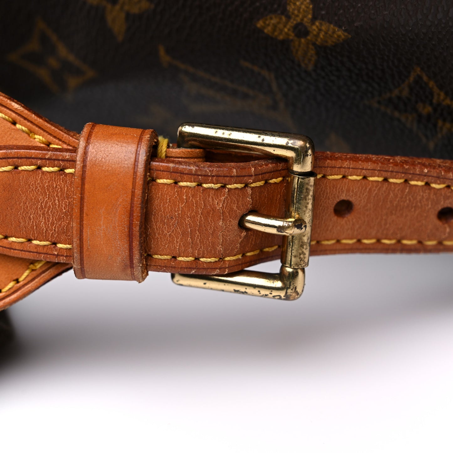 Monogram Montsouris GM Backpack