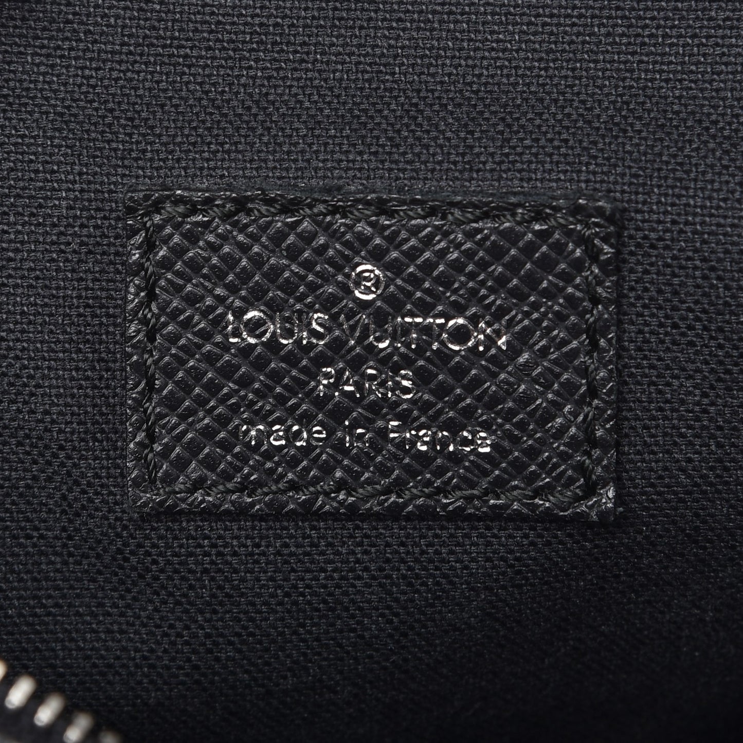 Taiga Dimitri Grizzli