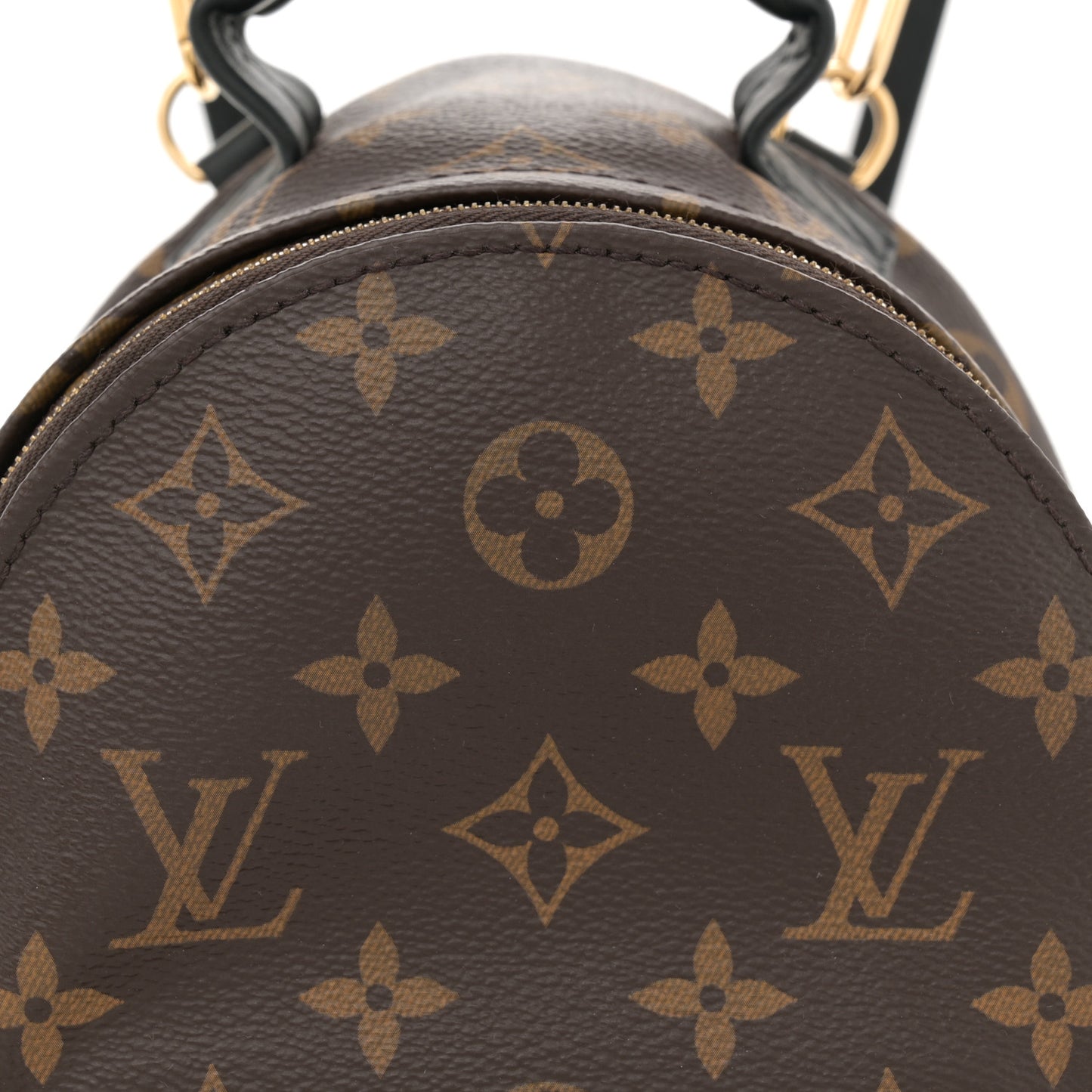 Monogram Palm Springs Backpack Mini