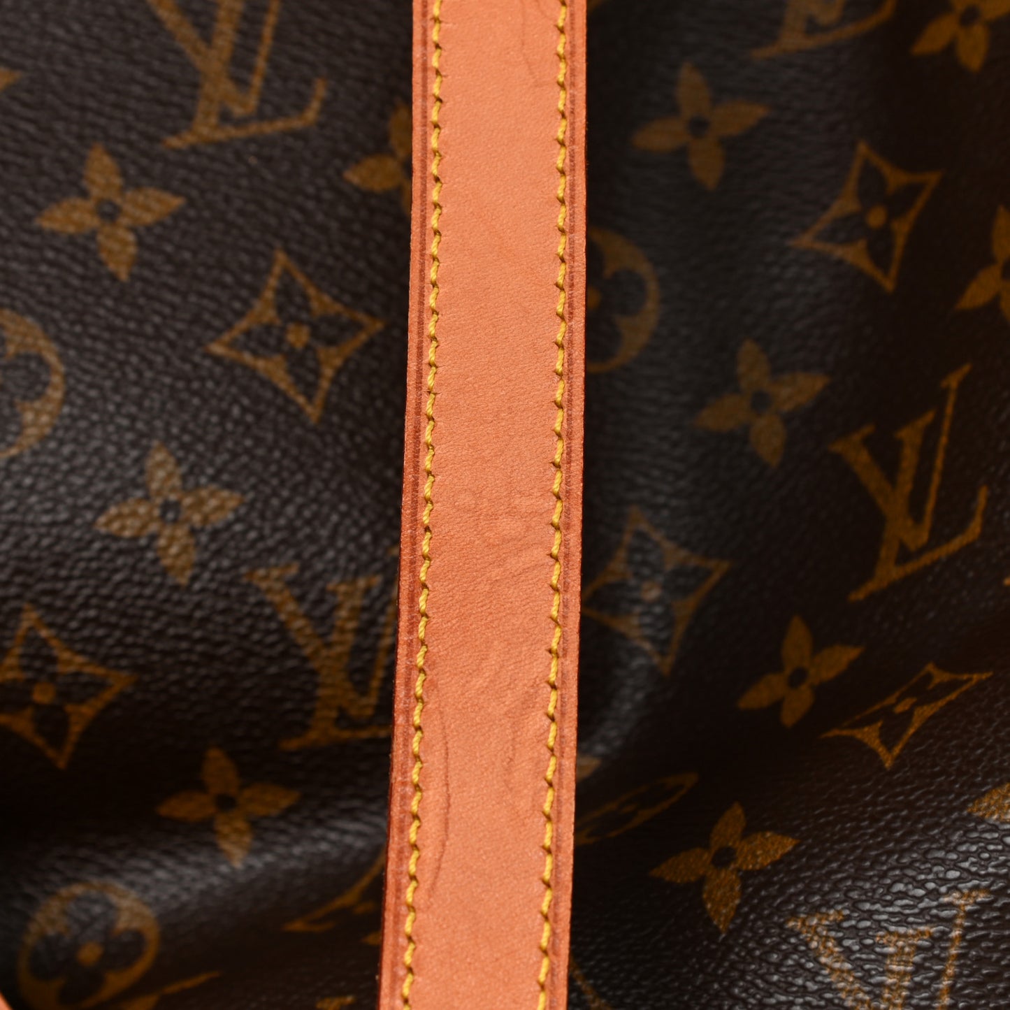 Monogram Cabas Mezzo