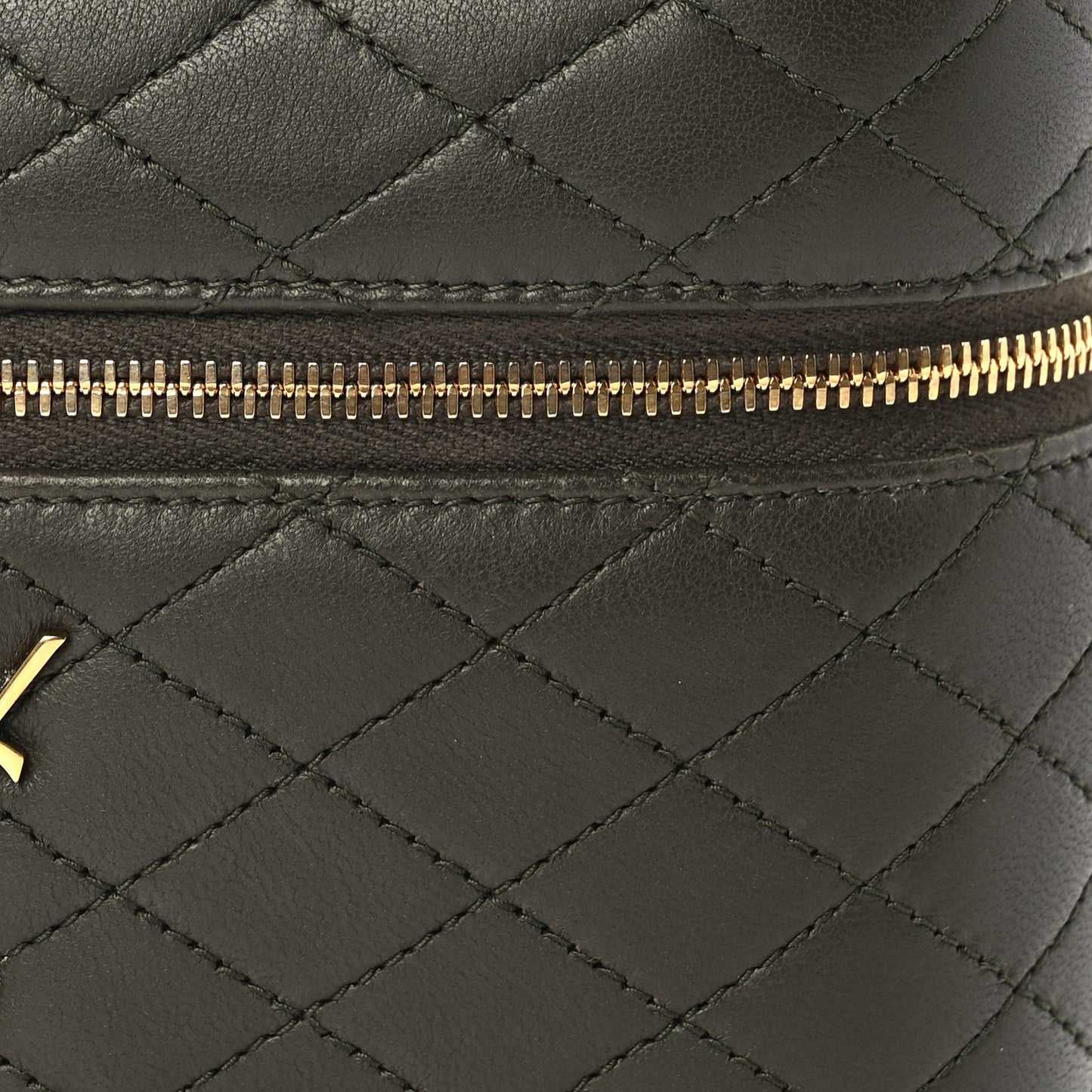 Lambskin Quilted Mini Gaby Vanity Case Light Musk