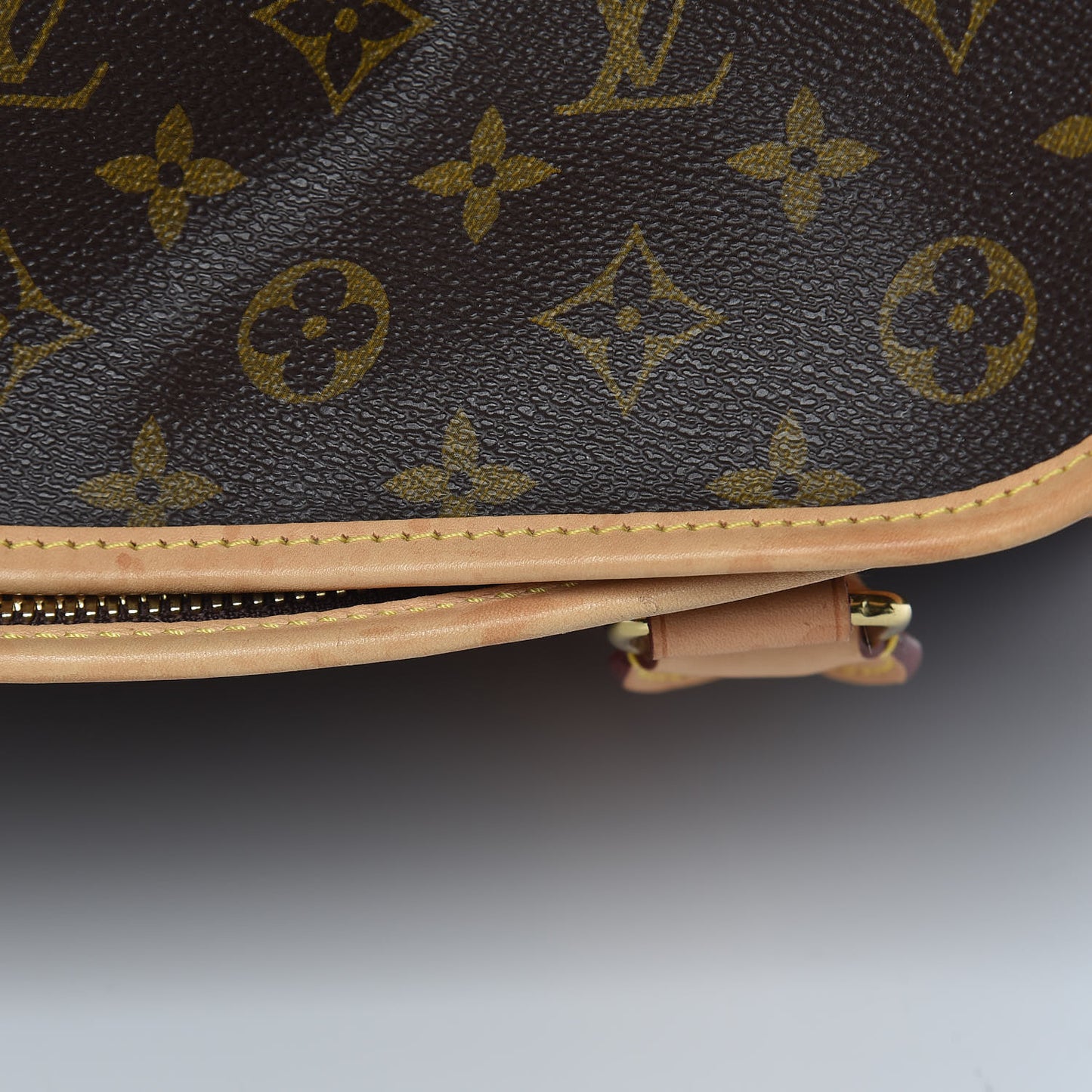 Monogram Sac Chien 40 Pet Carrier