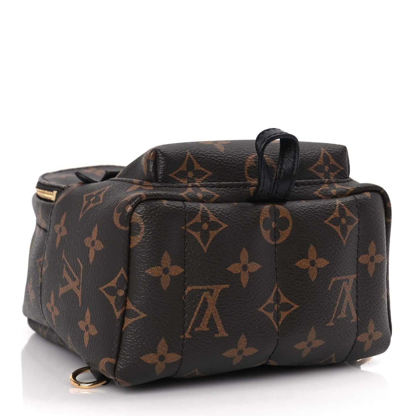 Monogram Palm Springs Backpack Mini
