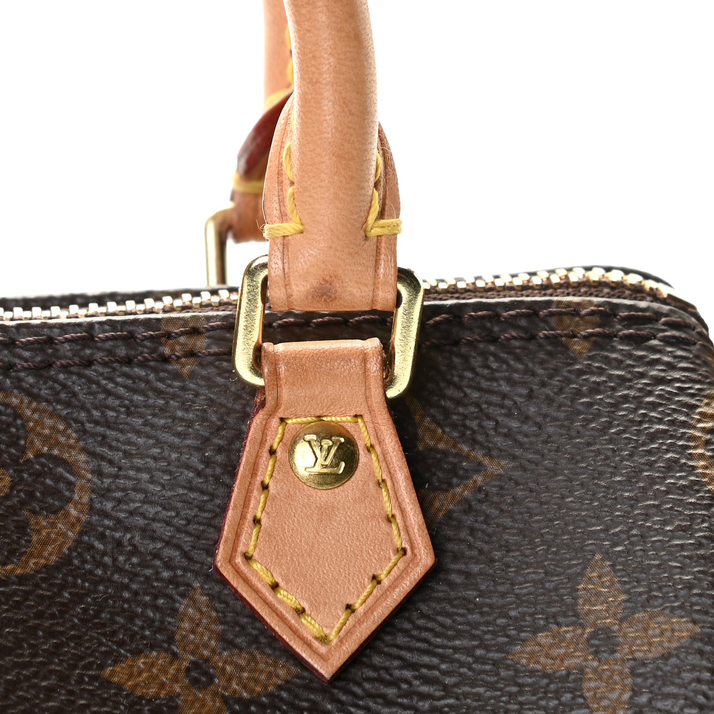 Monogram Nano Speedy