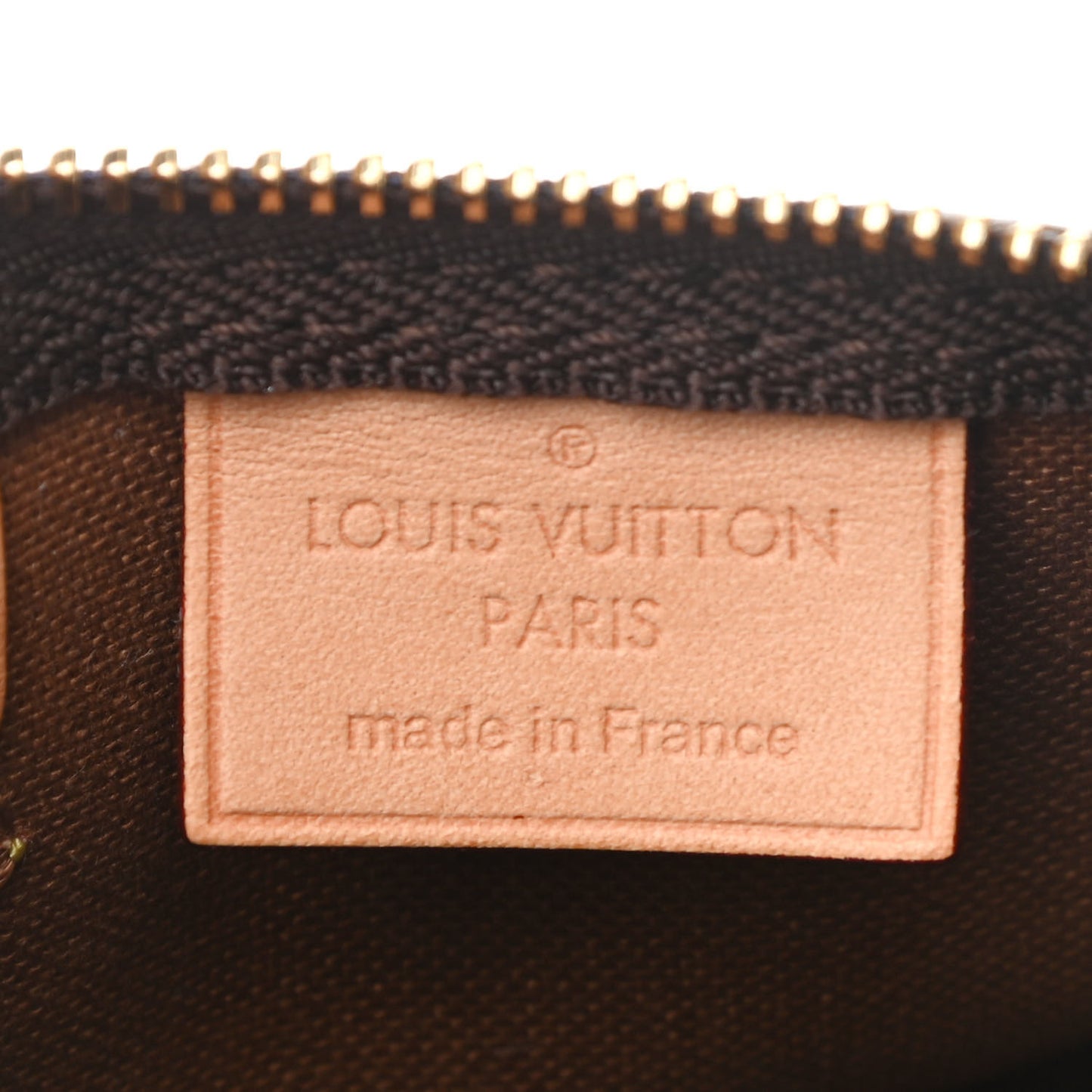 Monogram Nano Speedy