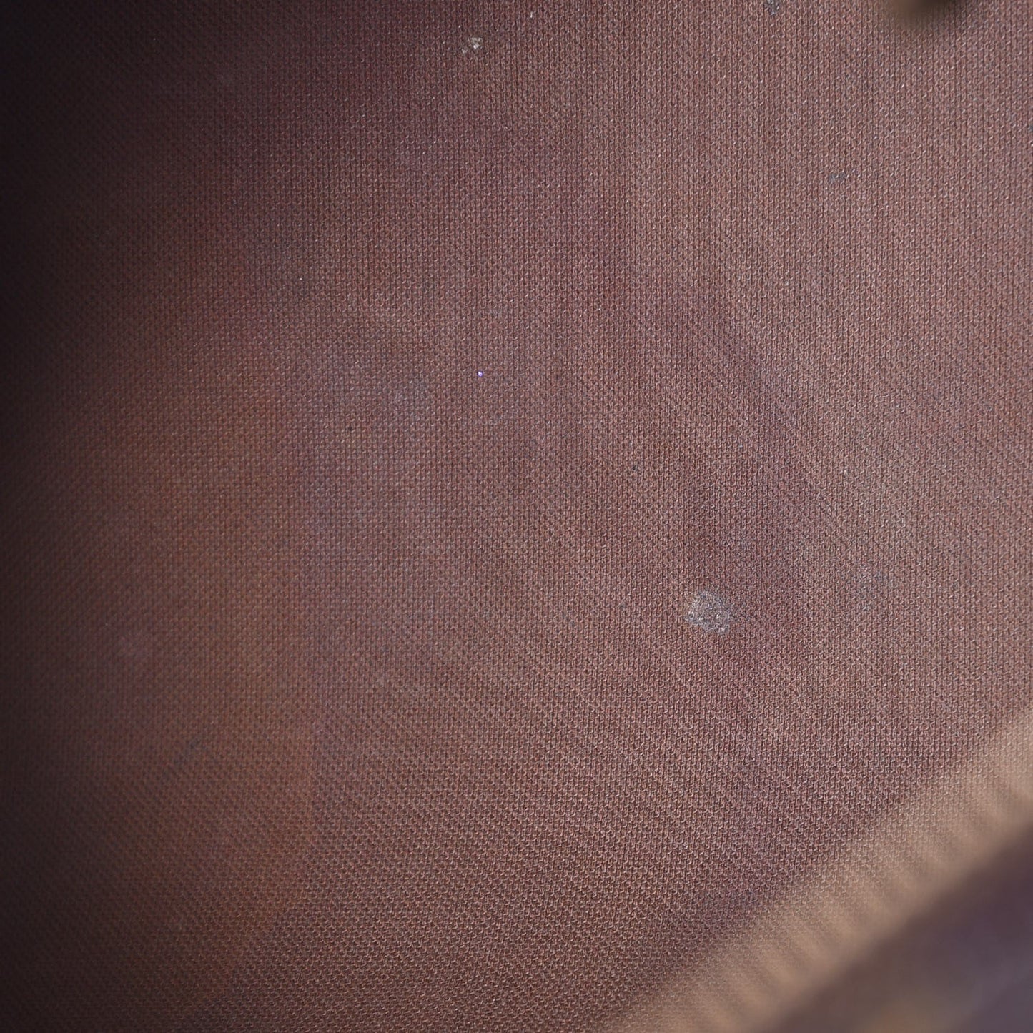 Monogram Speedy Bandouliere 30