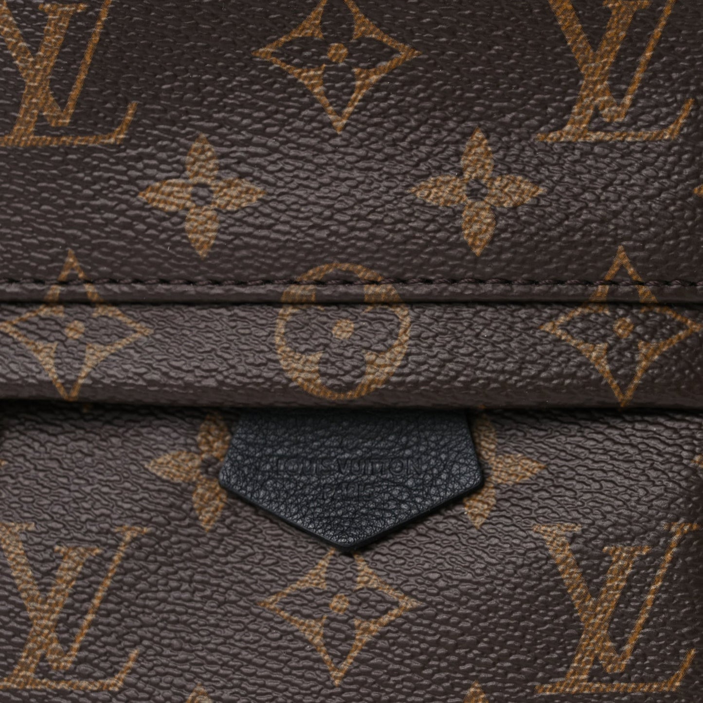 Monogram Palm Springs Backpack Mini Monogram