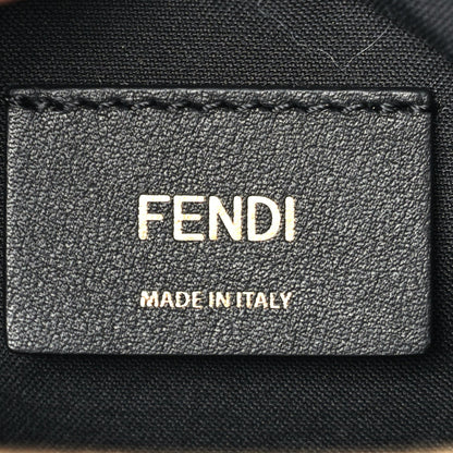 Fendi Vitello Grace Matte Medium graphy Hobo Bag Black 5 of 6