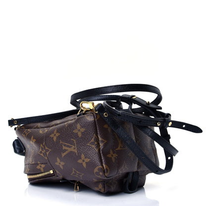 Louis Vuitton Monogram Palm Springs Backpack Mini 3 of 4