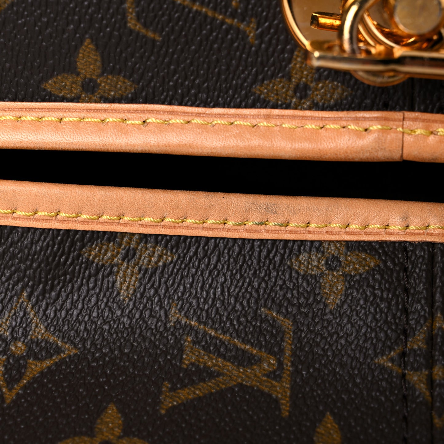 Monogram Garment Bag 3 Hangers