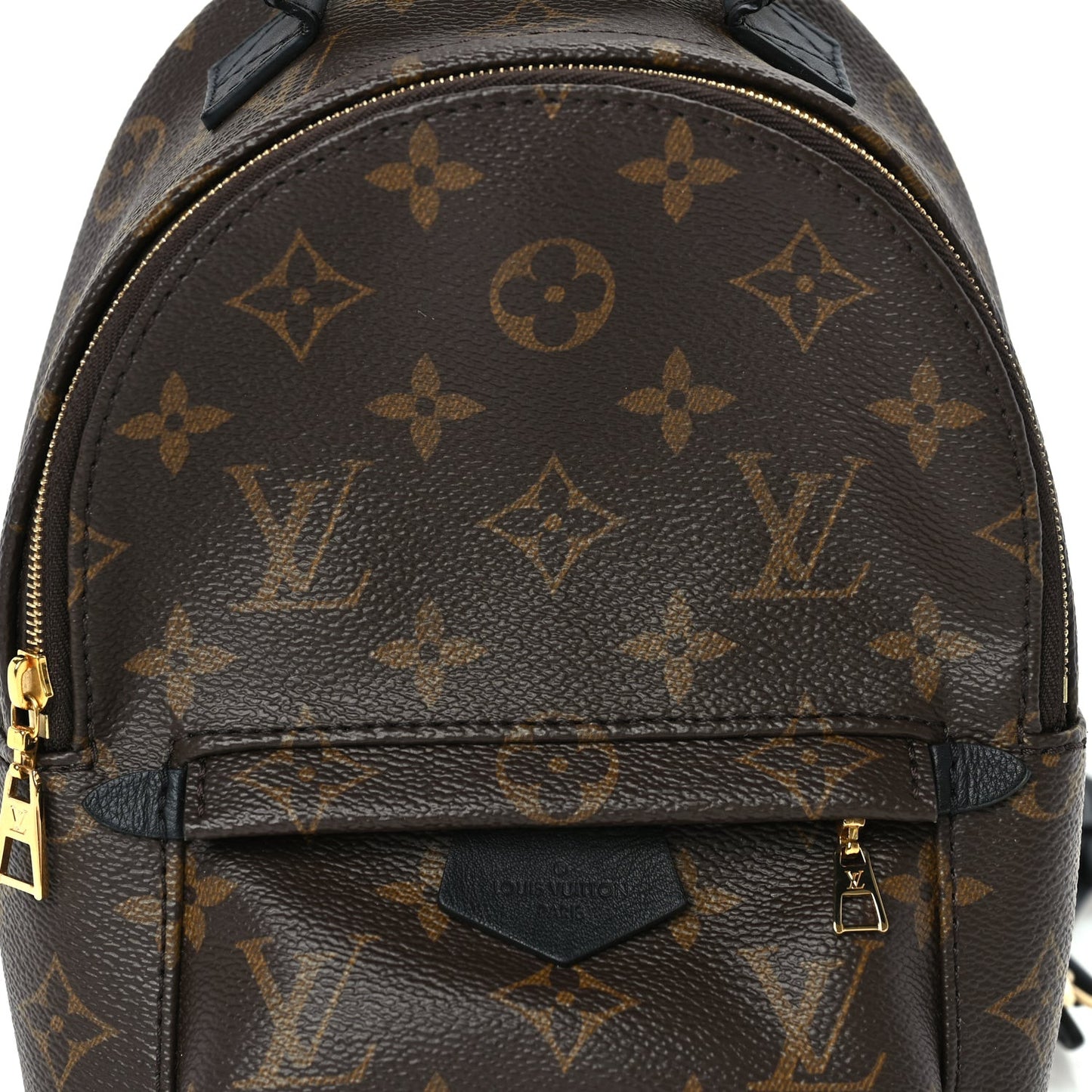 Monogram Palm Springs Backpack Mini