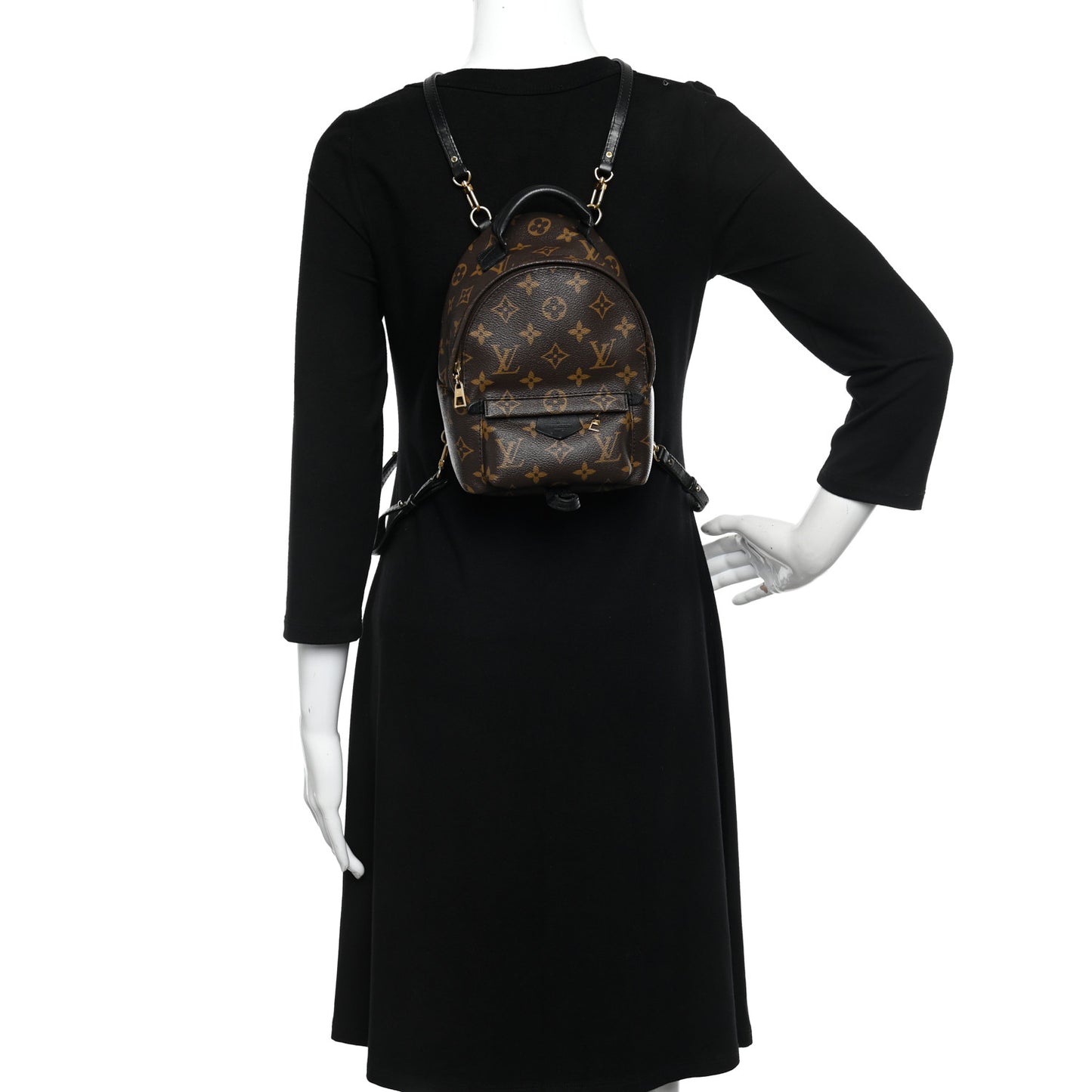 Monogram Palm Springs Backpack Mini