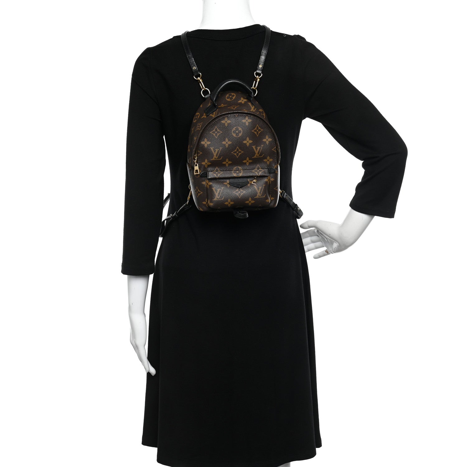 Louis Vuitton Monogram Palm Springs Backpack Mini 2 of 12