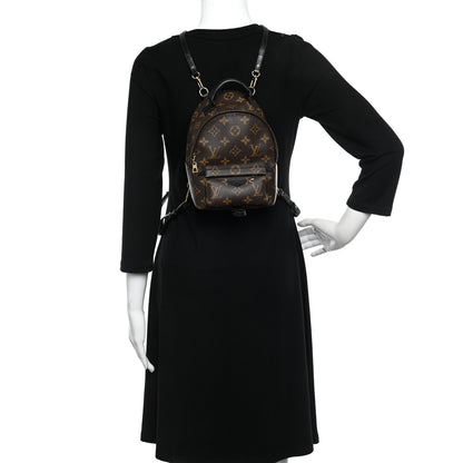 Louis Vuitton Monogram Palm Springs Backpack Mini 2 of 12