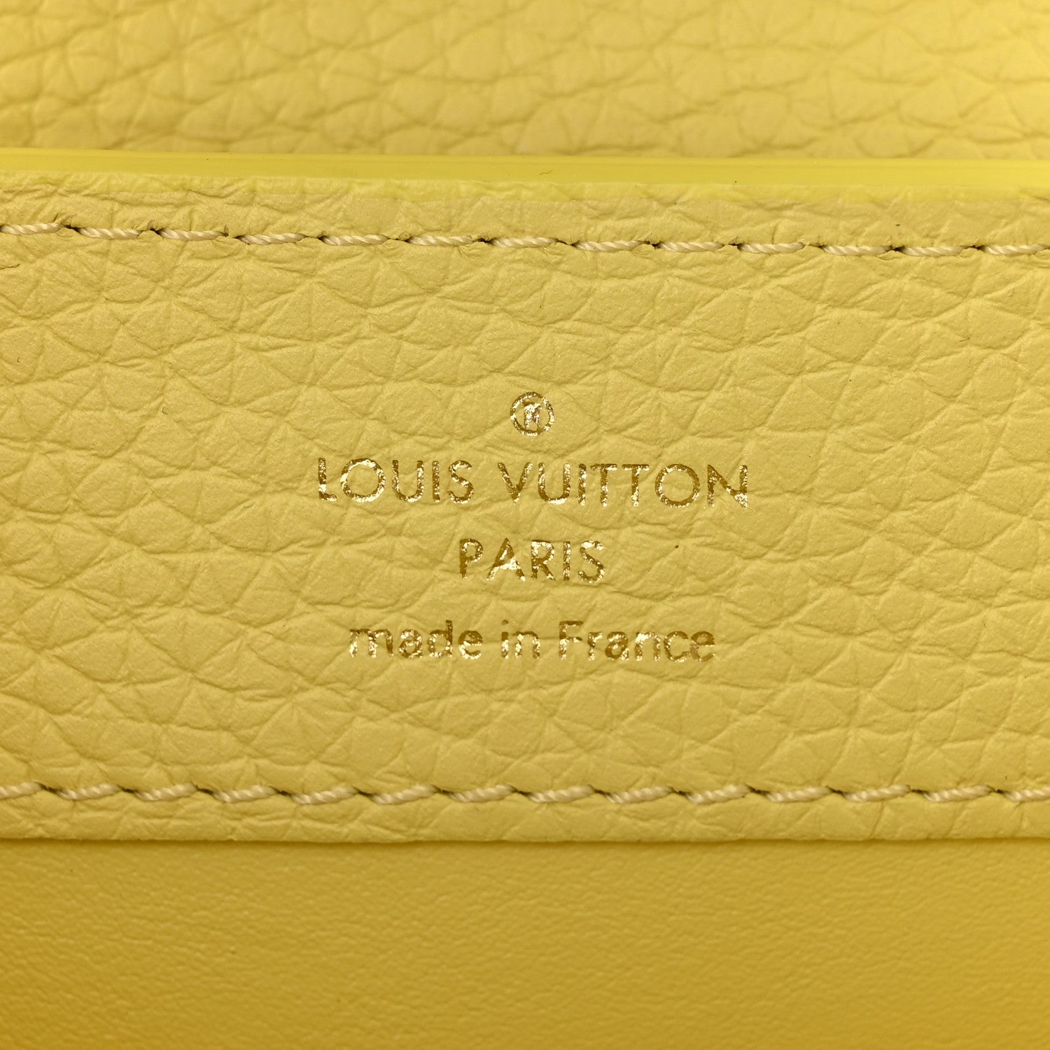 Louis Vuitton Taurillon Mini Chouchou Capucines Jaune 6 of 9