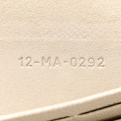 Christian Dior Grained Calfskin Saddle Chain Pouch Off White 8 of 14