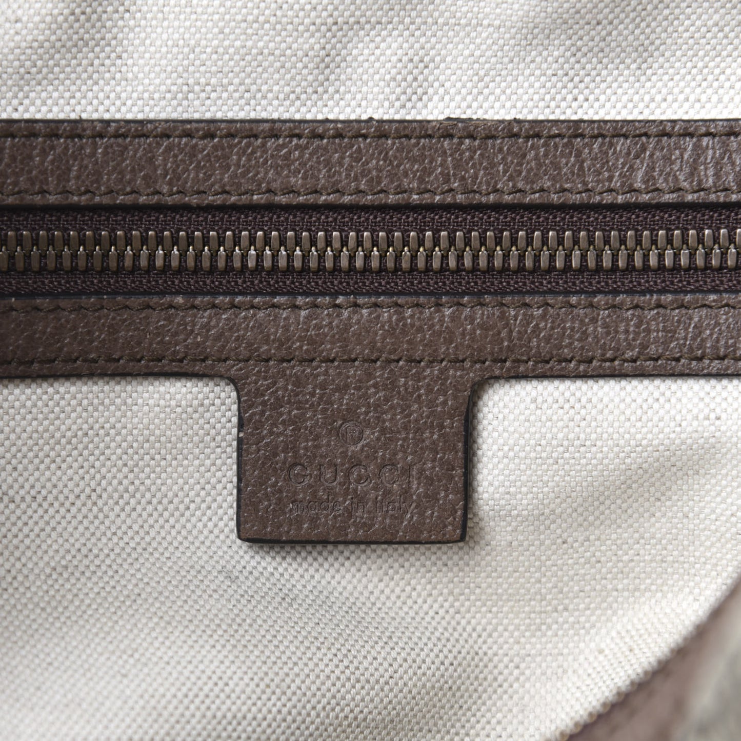 GG Supreme Monogram Web Small Ophidia Half Moon Hobo Brown