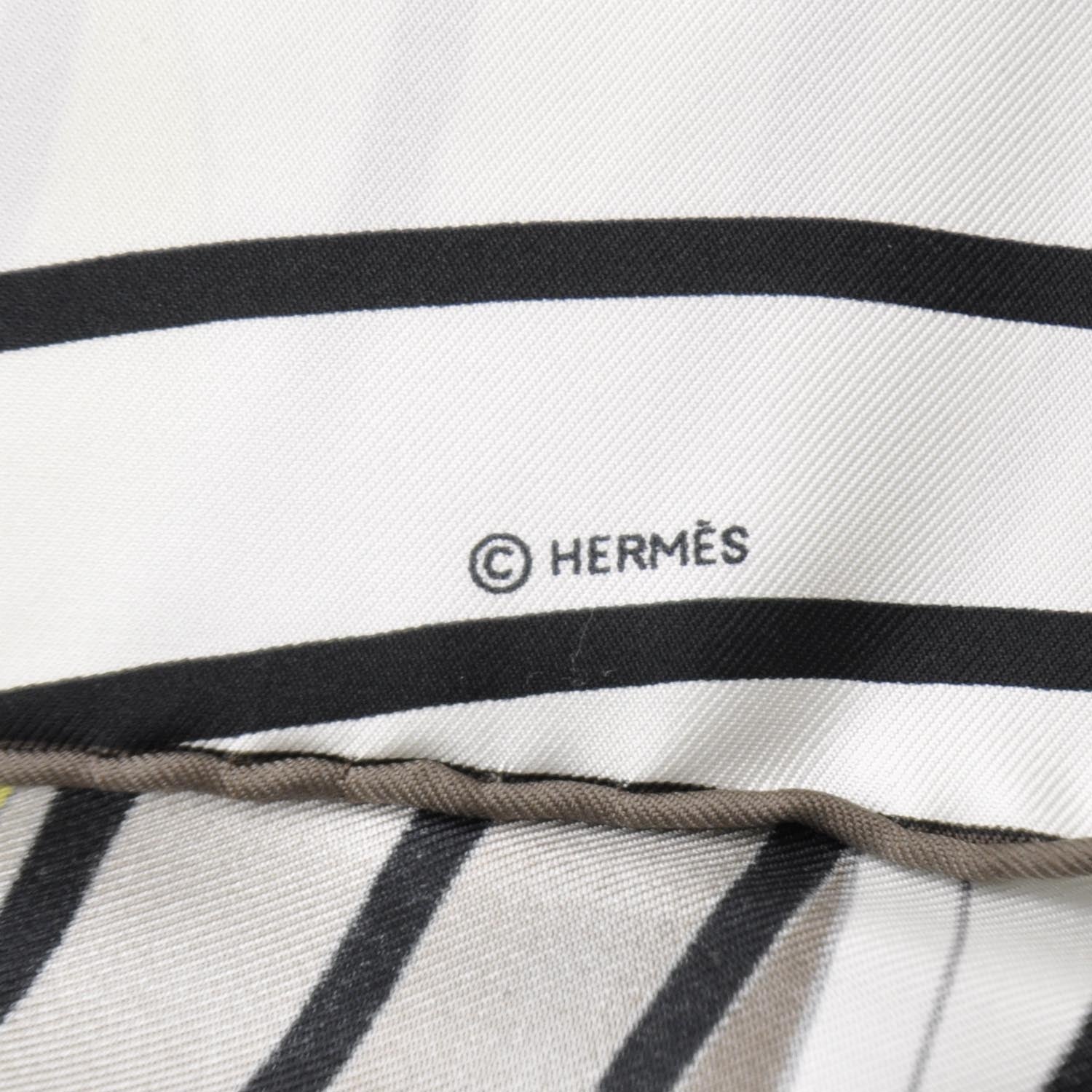 Hermes Silk H2O Scarf 90 5 of 5