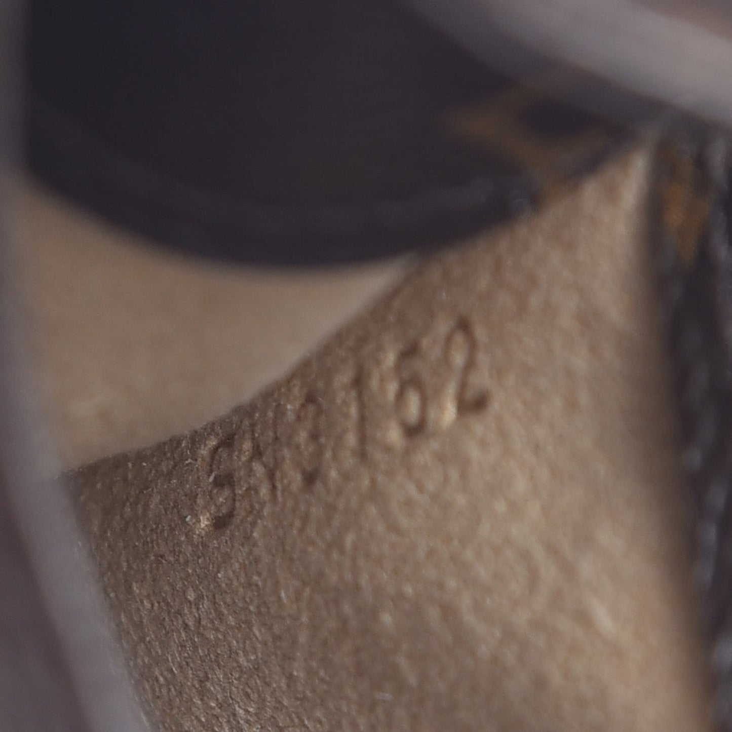 Monogram Sunglasses Case MM