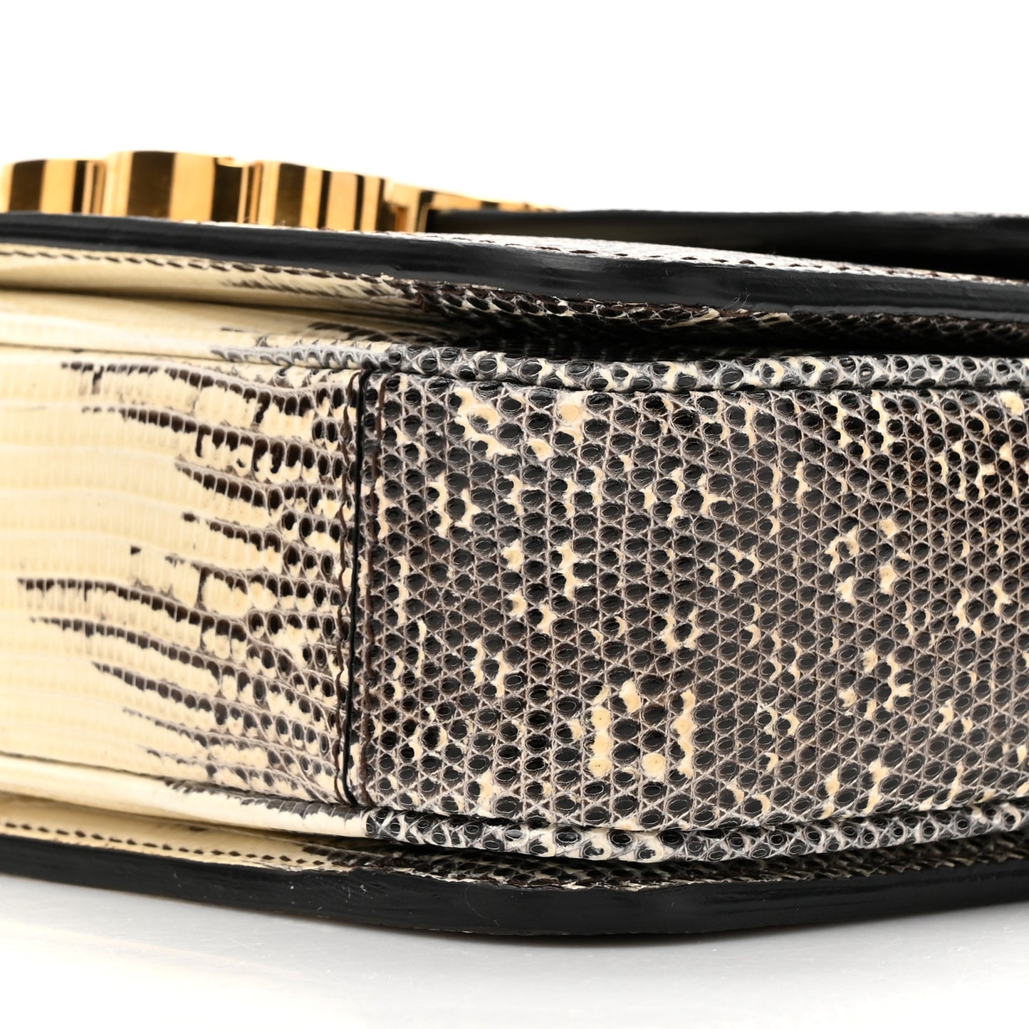 Lizard Teen Triomphe Natural