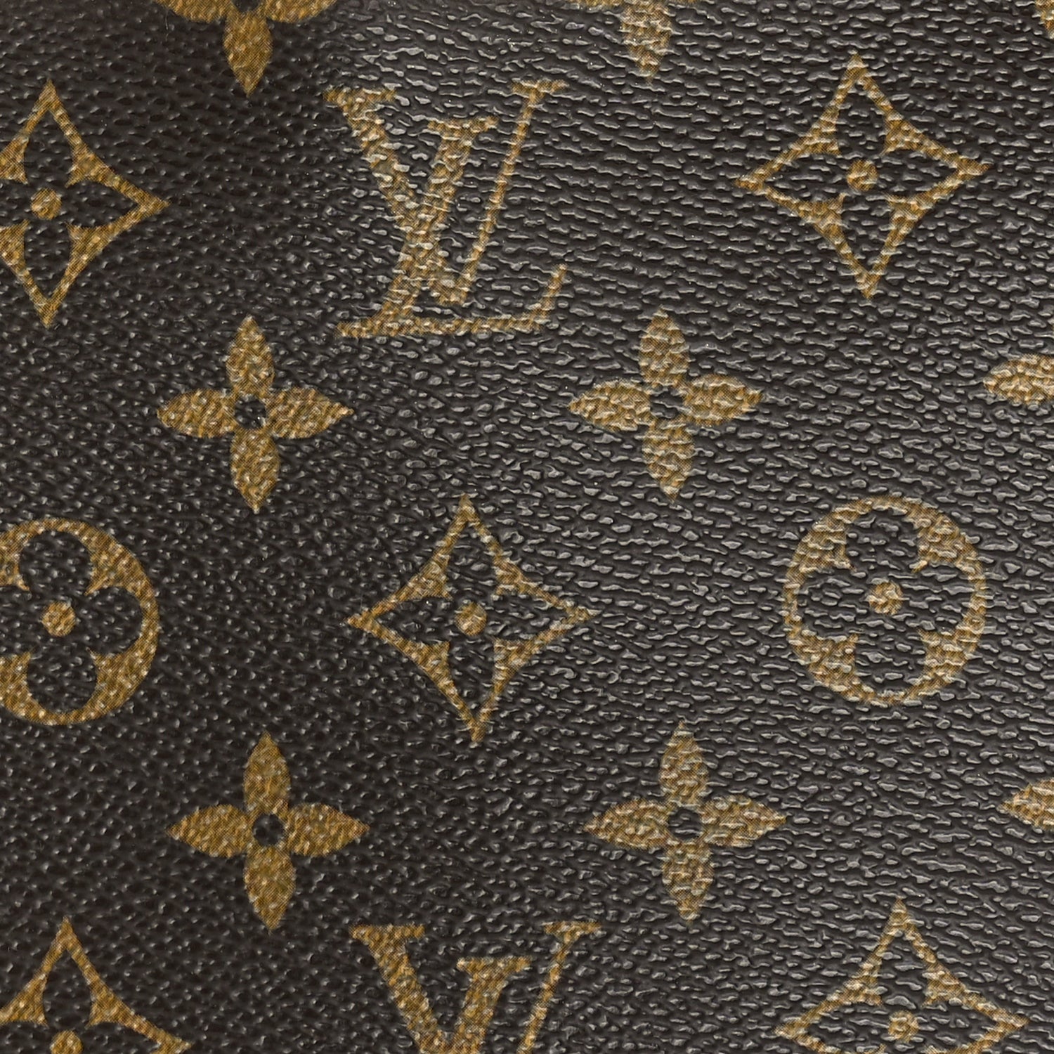 Louis Vuitton Monogram Excursion Shoe Bag 6 of 8