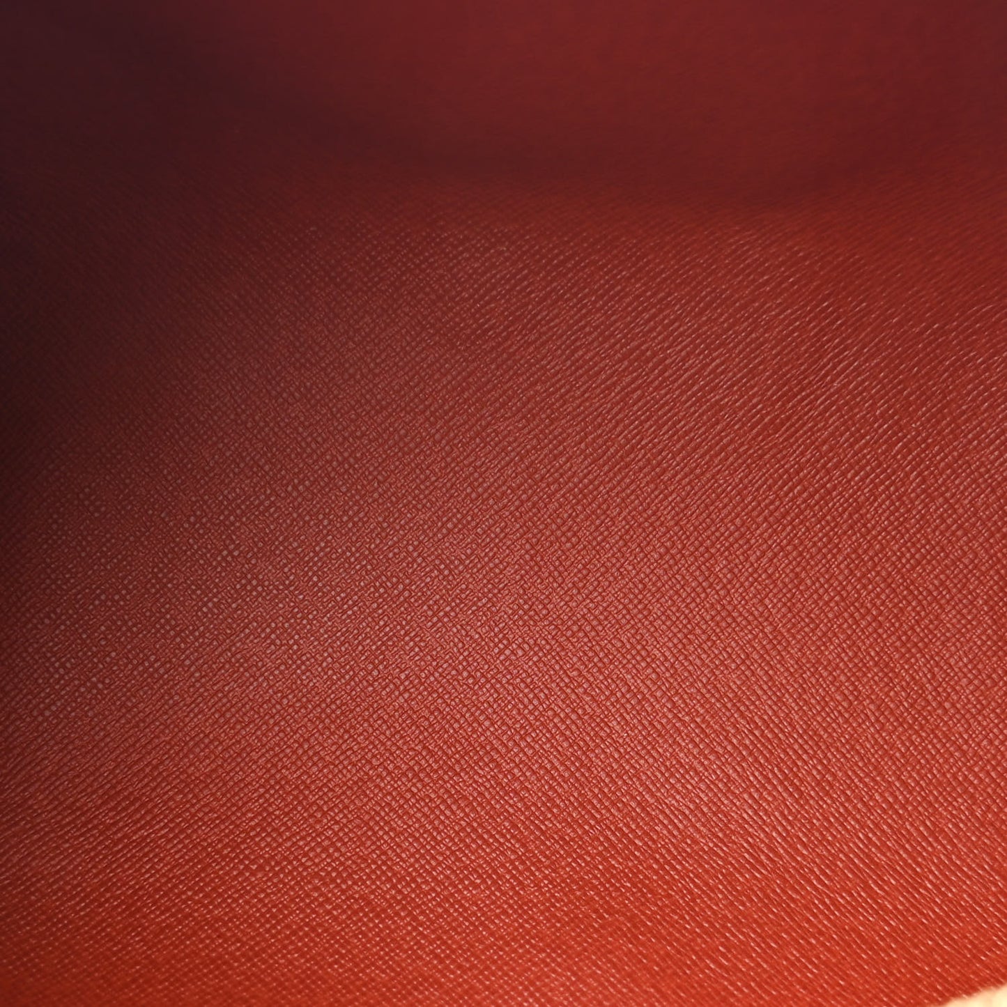 Damier Ebene Papillon 30 With Companion