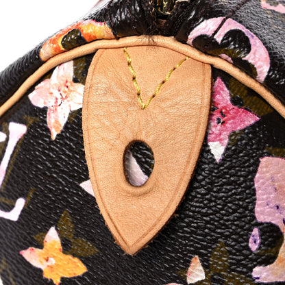 Louis Vuitton Watercolor Aquarelle Speedy 30 Brown 10 of 11