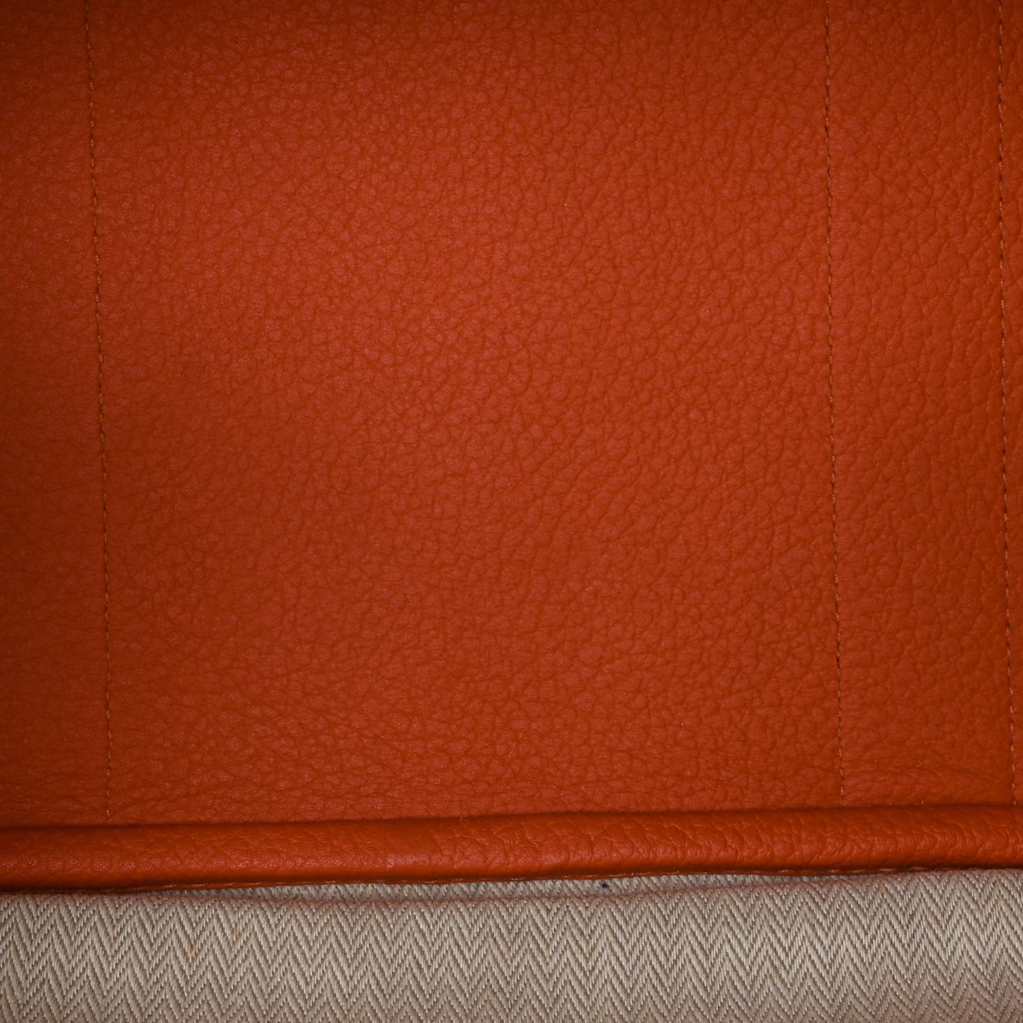 Negonda Garden Party 36 MM  Orange
