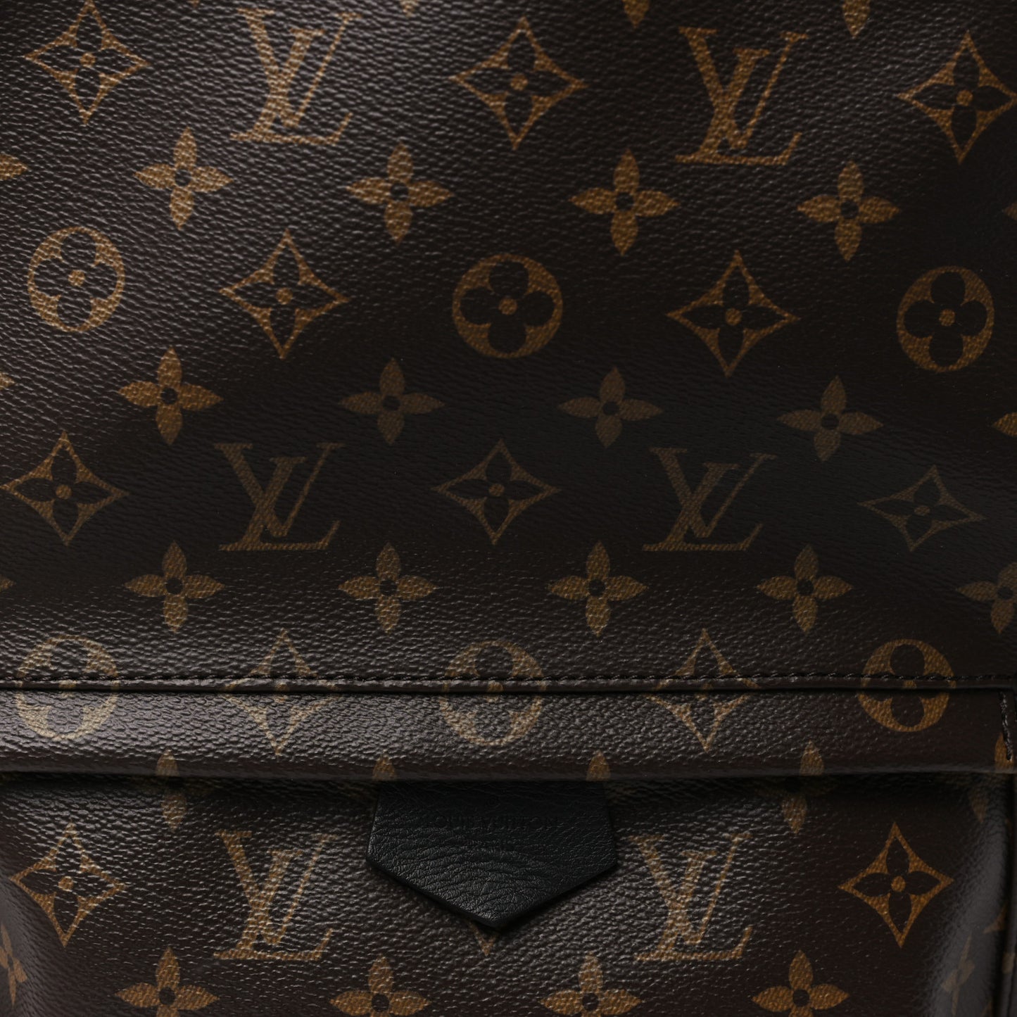 Monogram Palm Springs Backpack MM