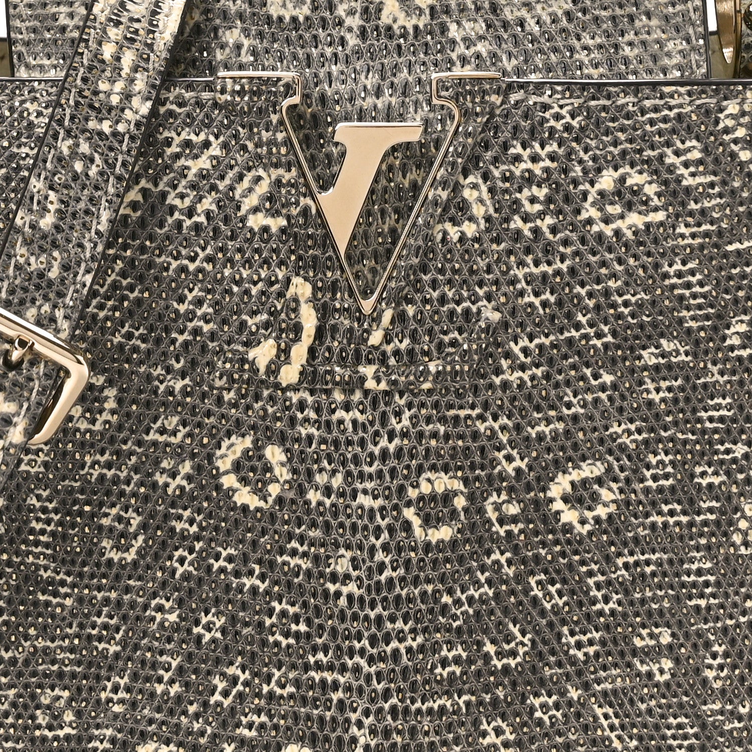 Louis Vuitton Lizard Capucines Mini Argento 7 of 9
