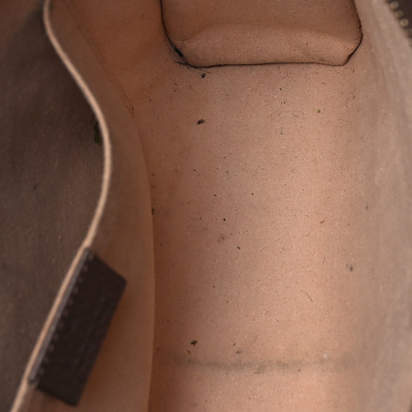 GG Supreme Monogram Web Ophidia Pouch Brown