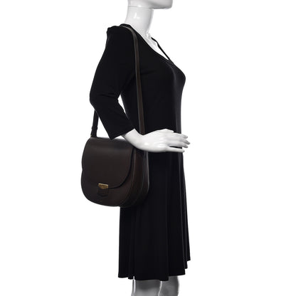 Celine Supersoft Calfskin Medium Trotteur Wood 2 of 21