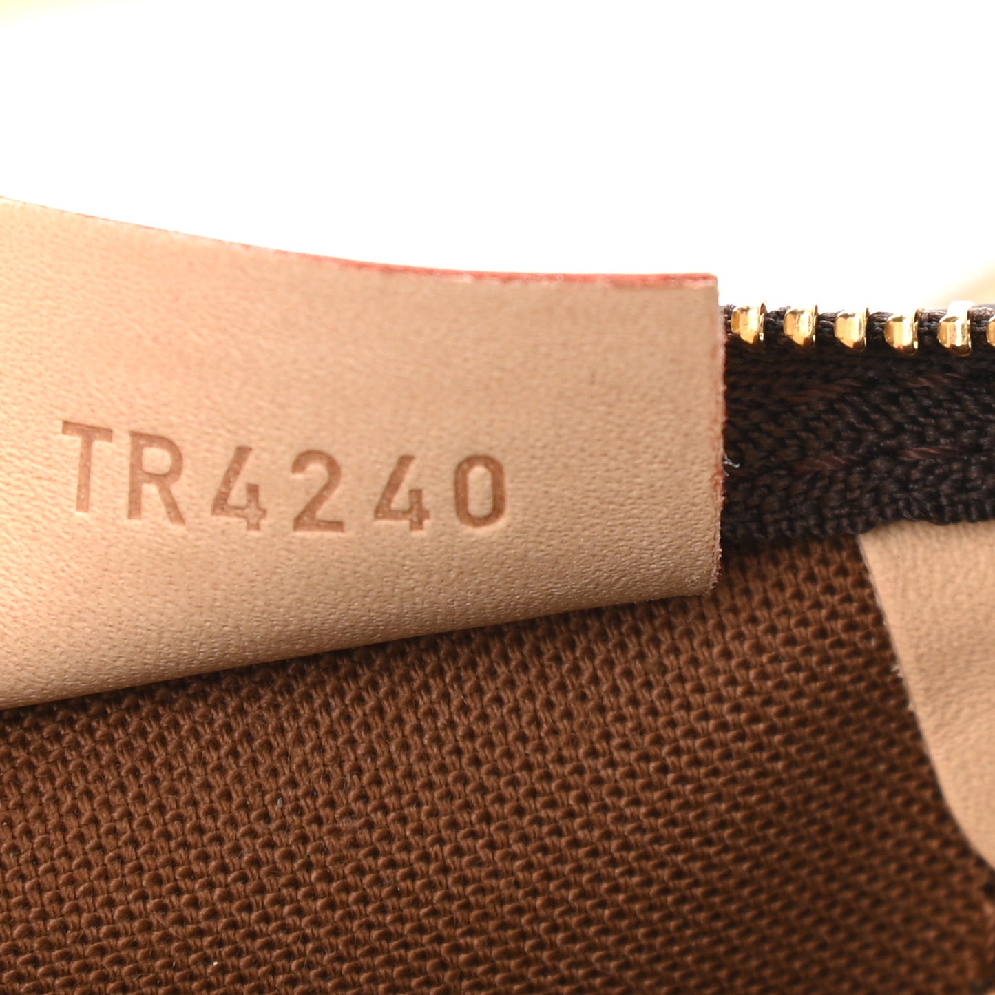 Monogram Nano Speedy