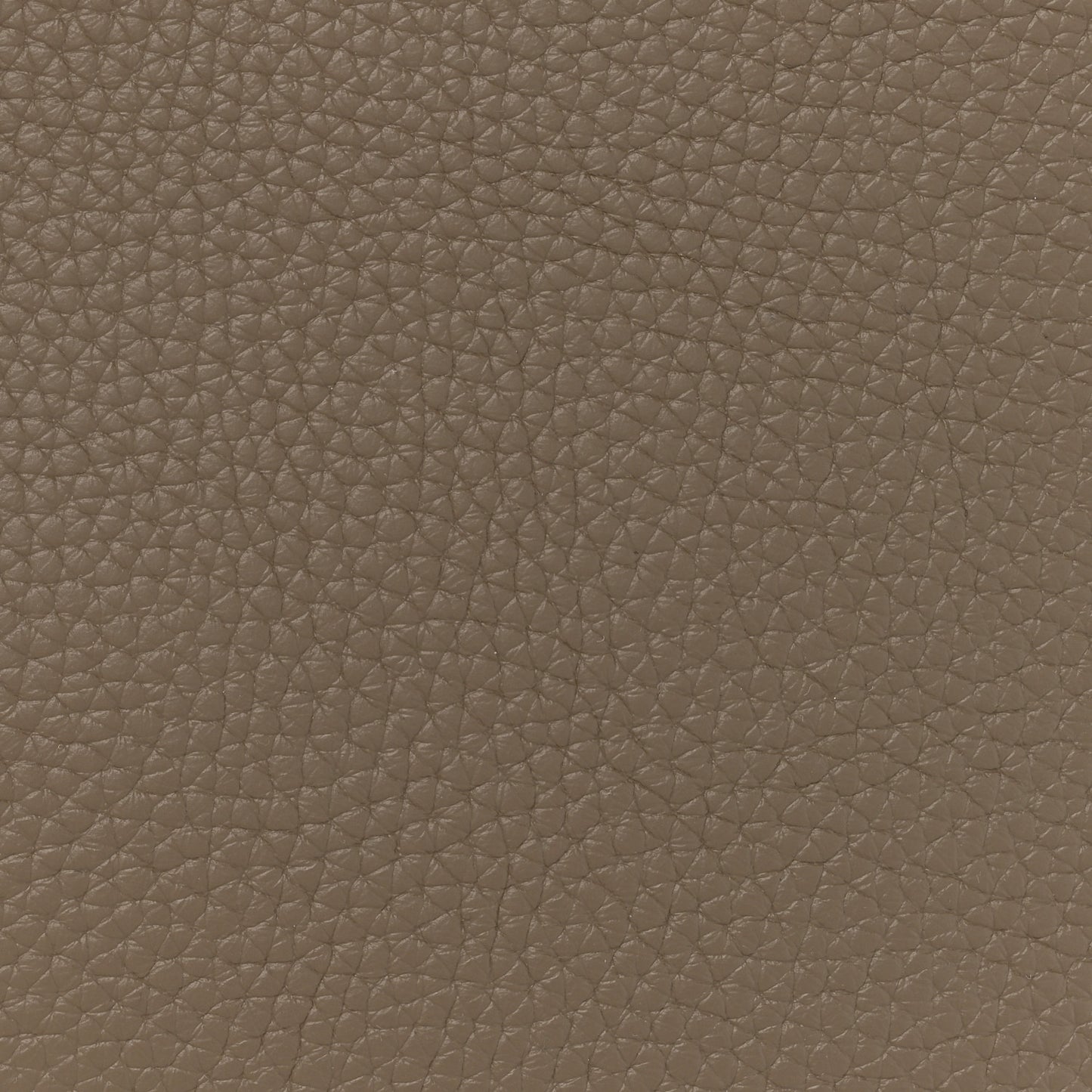 Taurillon Vendome MM Earth