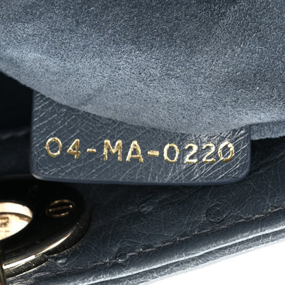 Christian Dior Ostrich Mini Lady Dior Dark Grey 7 of 12