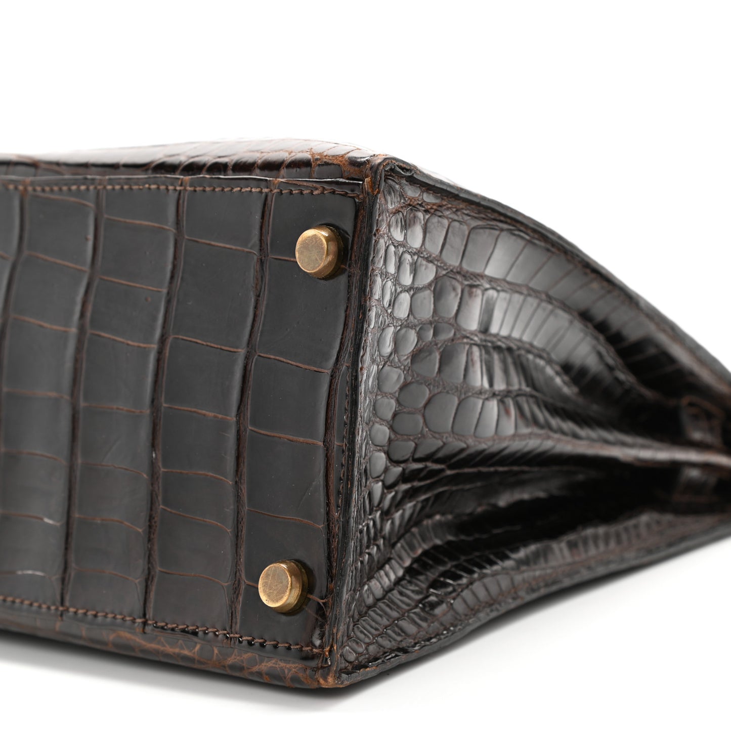 Shiny Porosus Crocodile Kelly Sellier 28