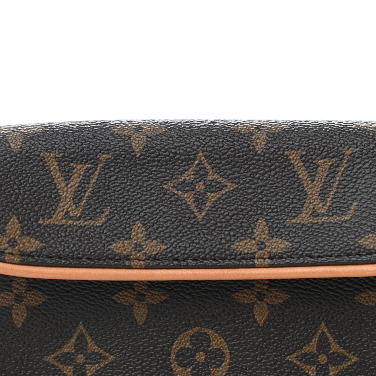 Monogram Pochette Florentine XS