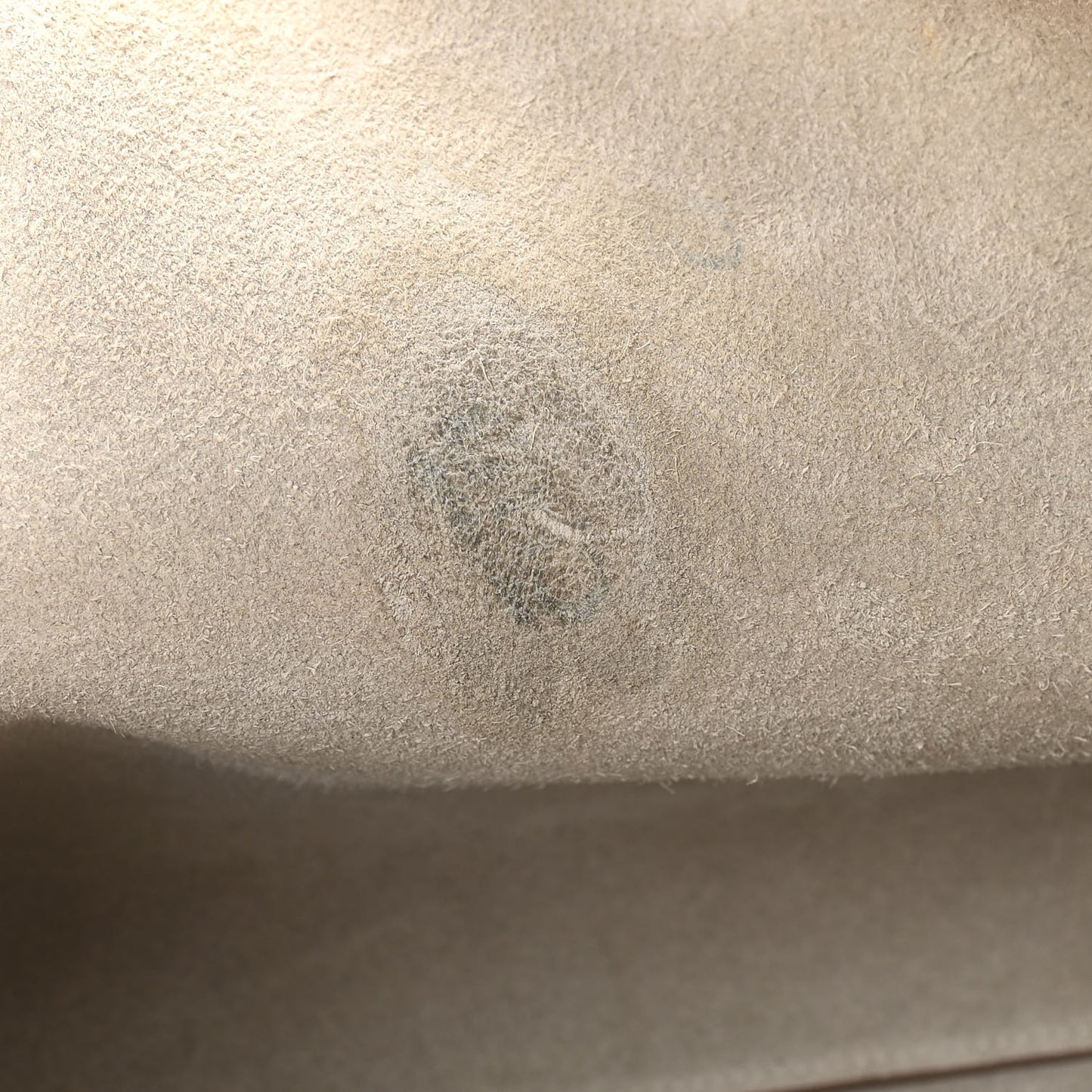 Taurillon Clemence Cabasellier 31 Craie